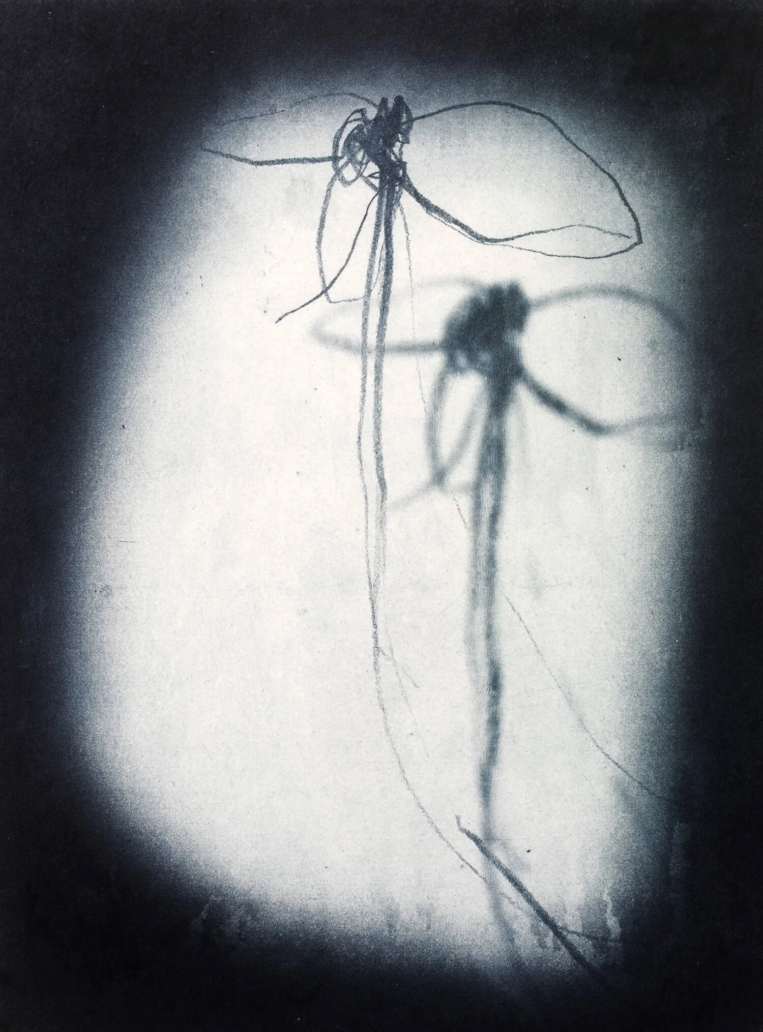 Memories of the present 1