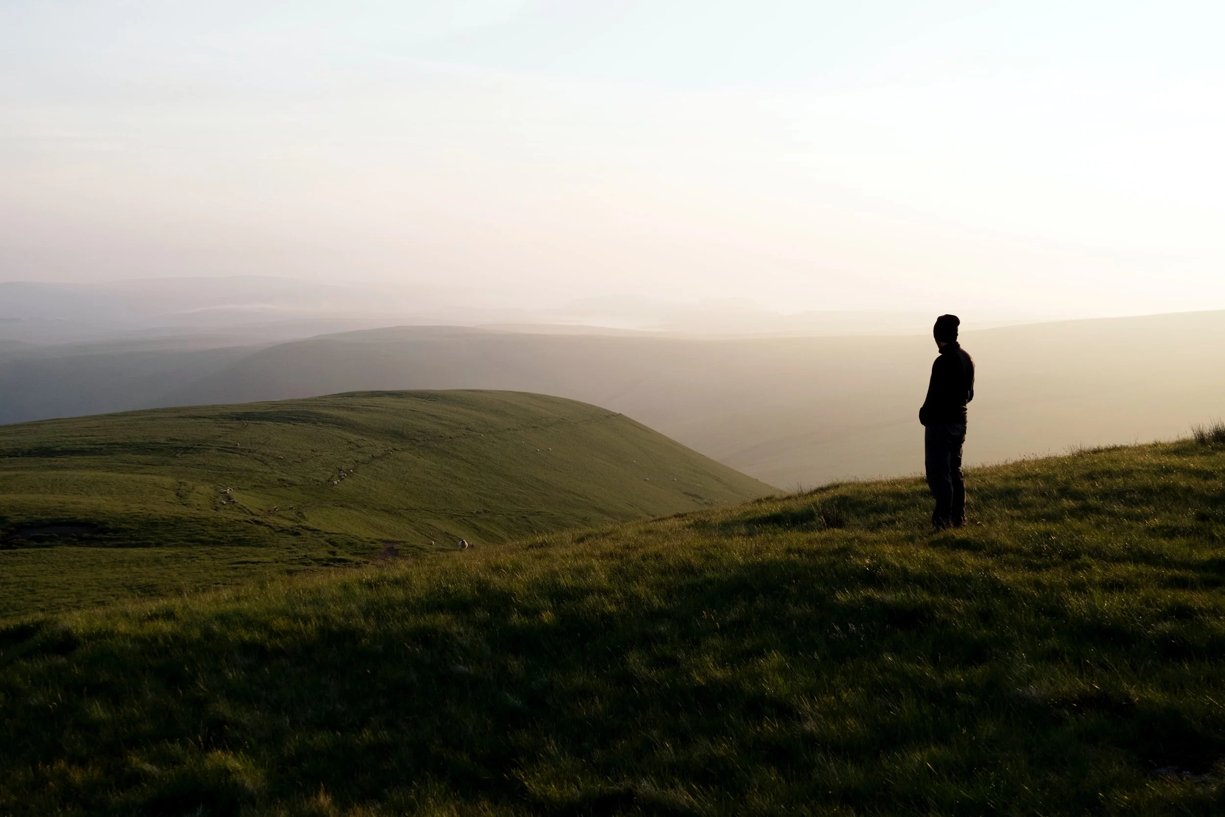 Understanding Stress: What Helps Our Team