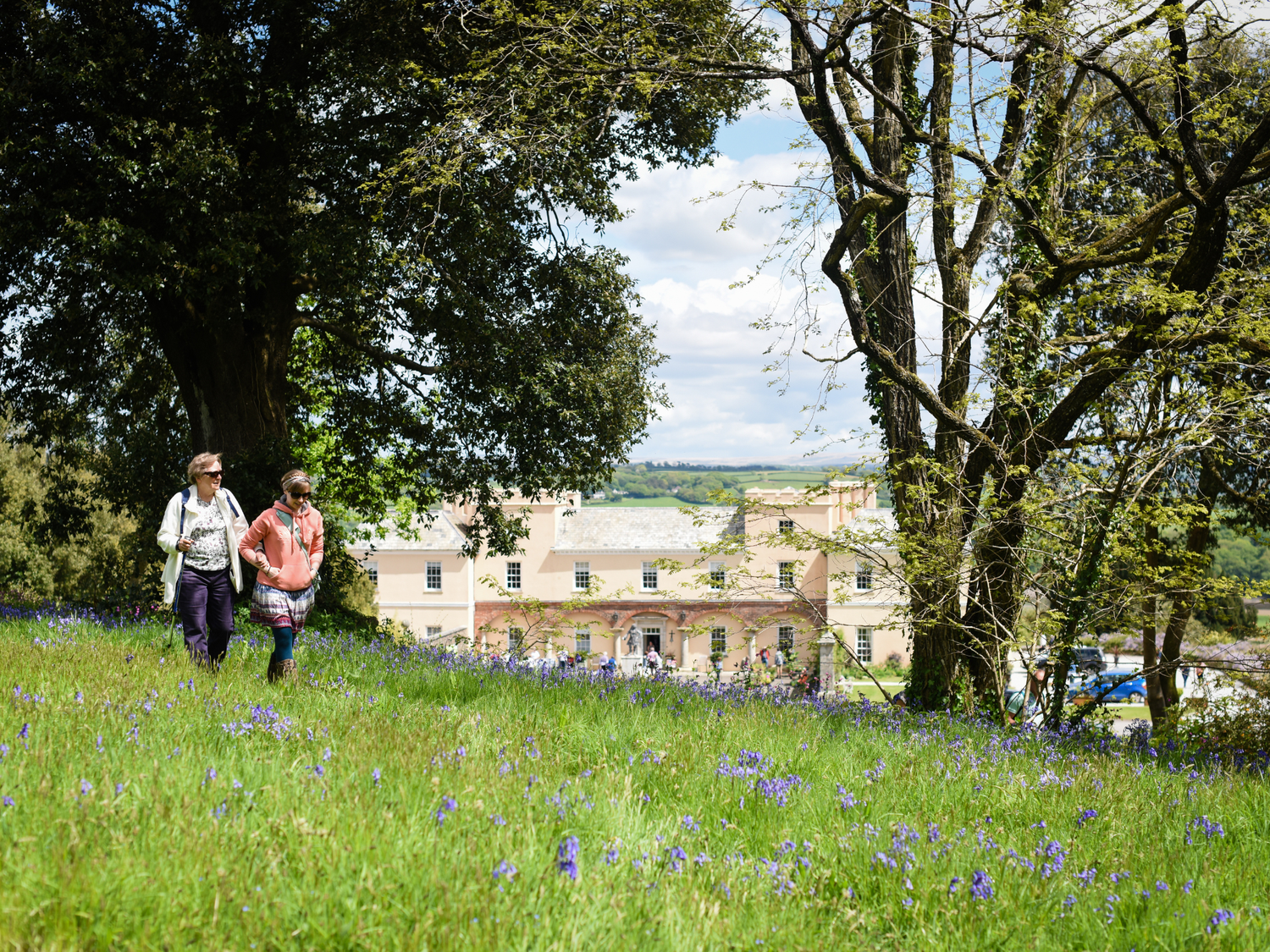 Garden Open Day at Pentillie Castle in aid of Devon Mind and Cornwall ...