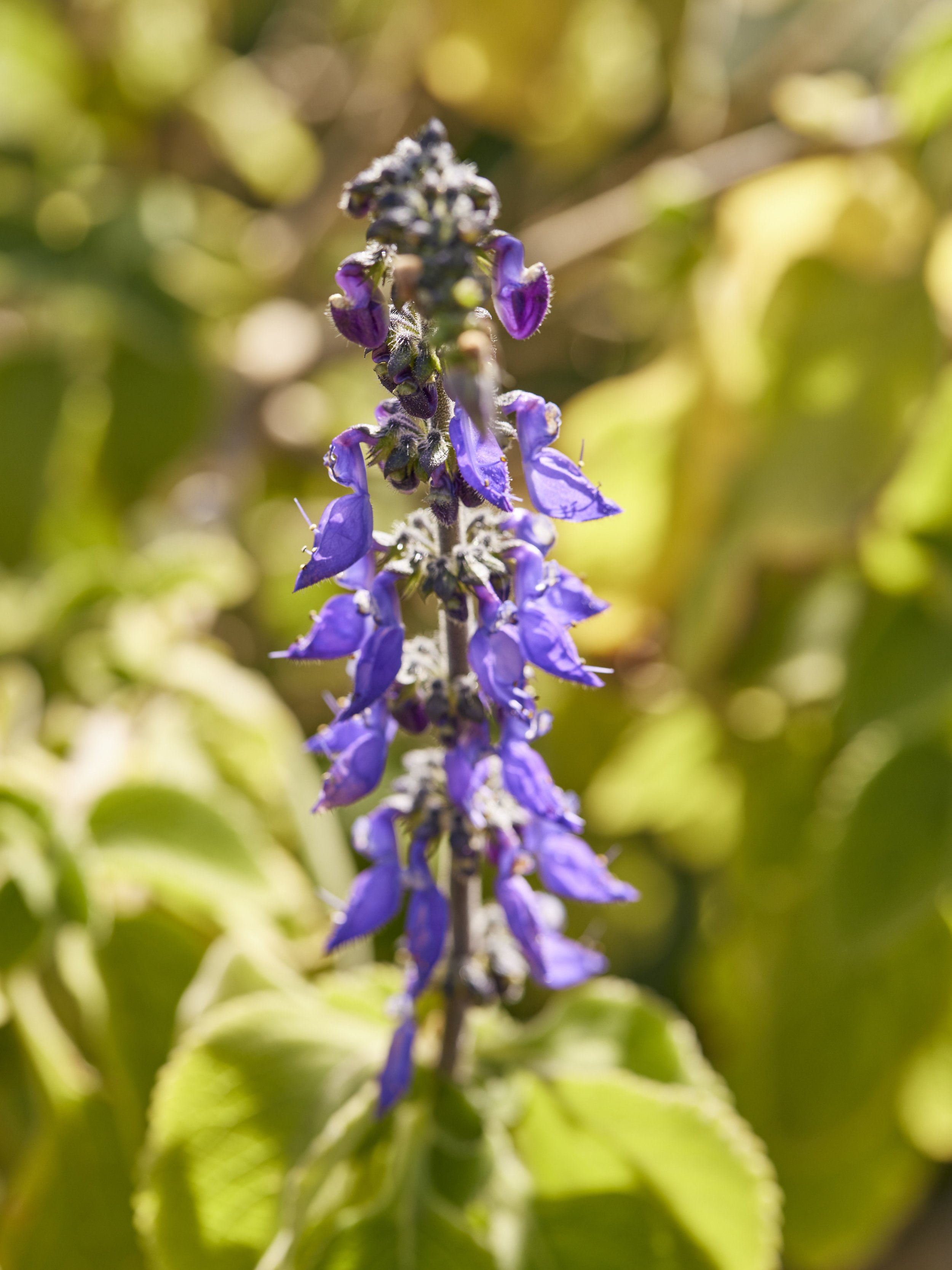 Fuerteventura_2022_075.jpg