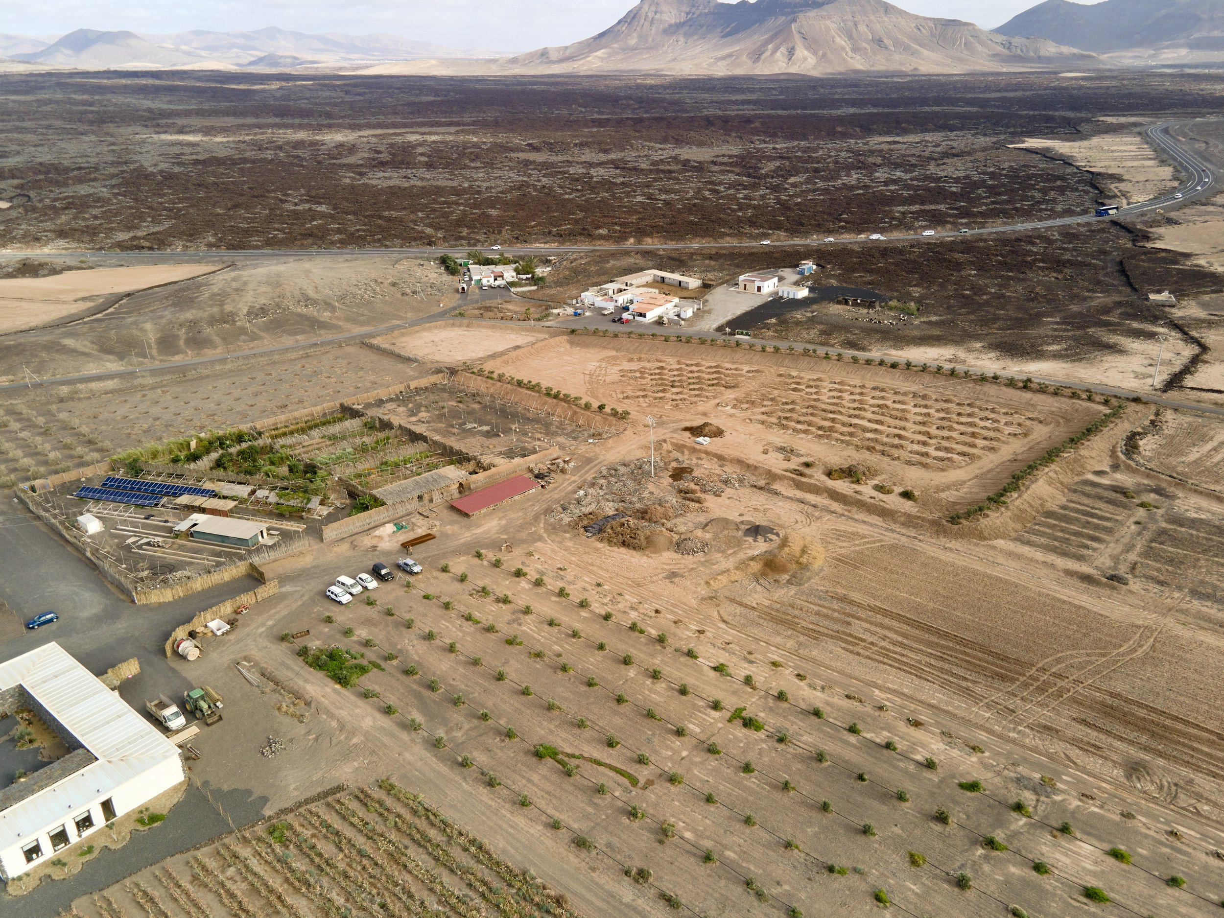 Fuerteventura_2022_Drohne_1070.jpg