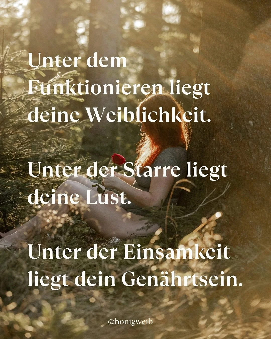 Unter dem Funktionieren liegt deine Weiblichkeit.
Unter der Starre liegt deine Lust.
Unter der Einsamkeit liegt dein Gen&auml;hrtsein &hearts;️.

Scho&szlig;zeit ist ein zweit&auml;giger Erfahrungsraum f&uuml;r Frauen, die tiefer in Verbindung mit ih