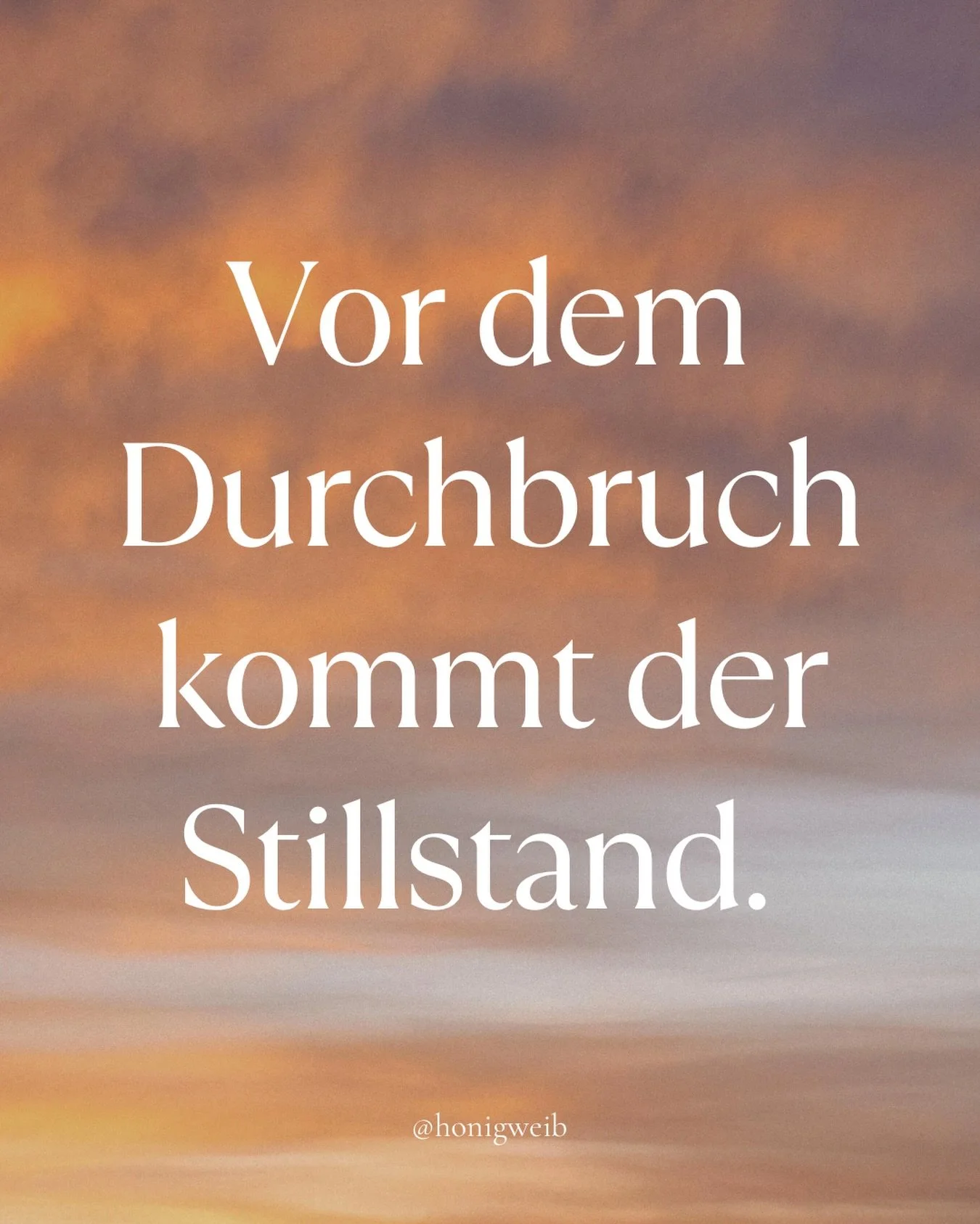 2019 war ich in einer langen Phase des Stillstands:   Ich war angestellt in einem politischen Projekt, das meinen Idealen entsprach, aber das Umfeld langweilte mich zutiefst. Mein Business pl&auml;tscherte vor sich hin und ich f&uuml;hlte mich gefang
