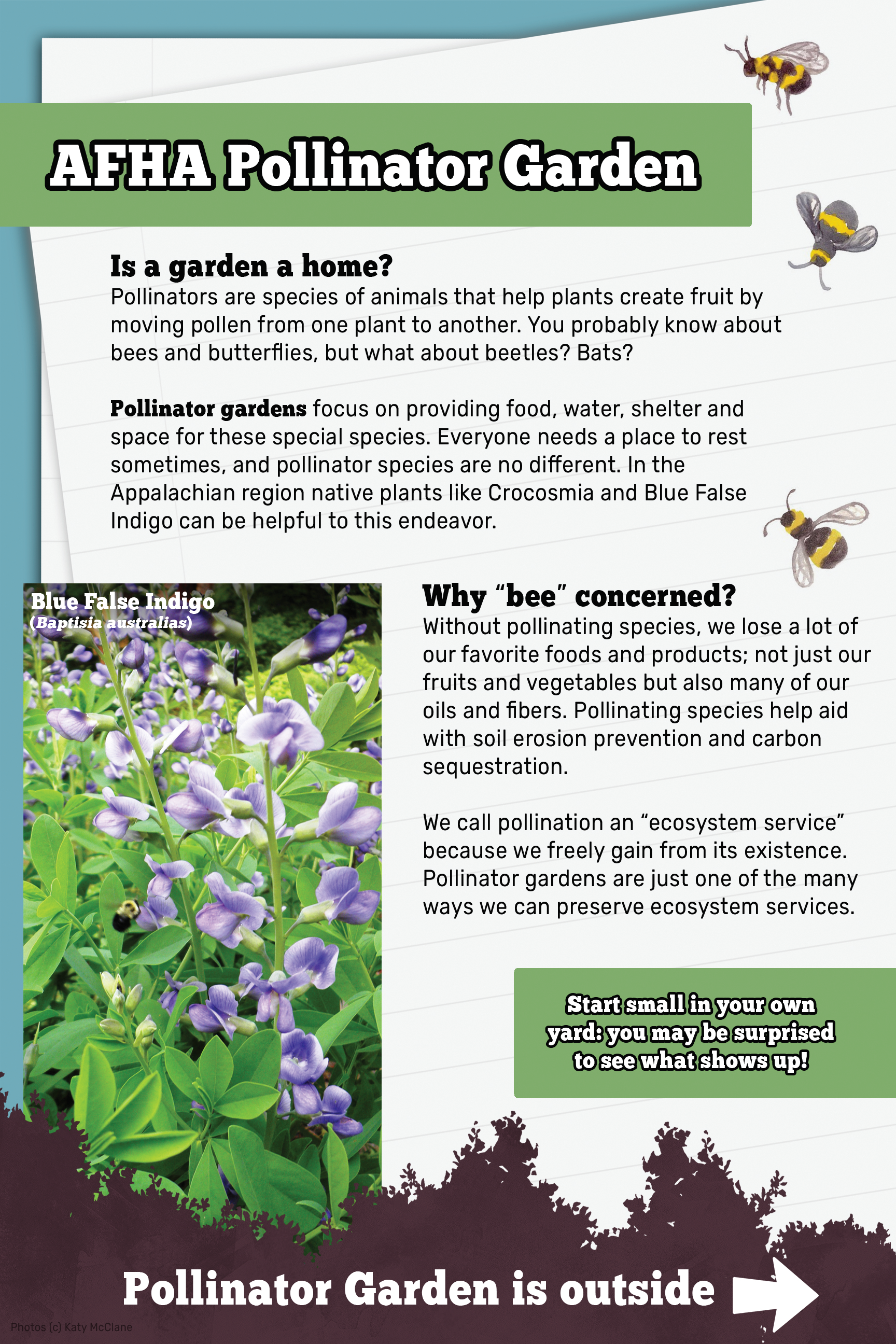 Pollinator-P1-2.png