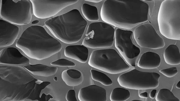 Biochar: What is it and how can it save you money, water and time?