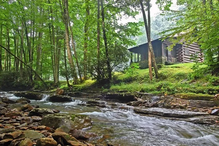 Environmental Education with Project Learning Tree