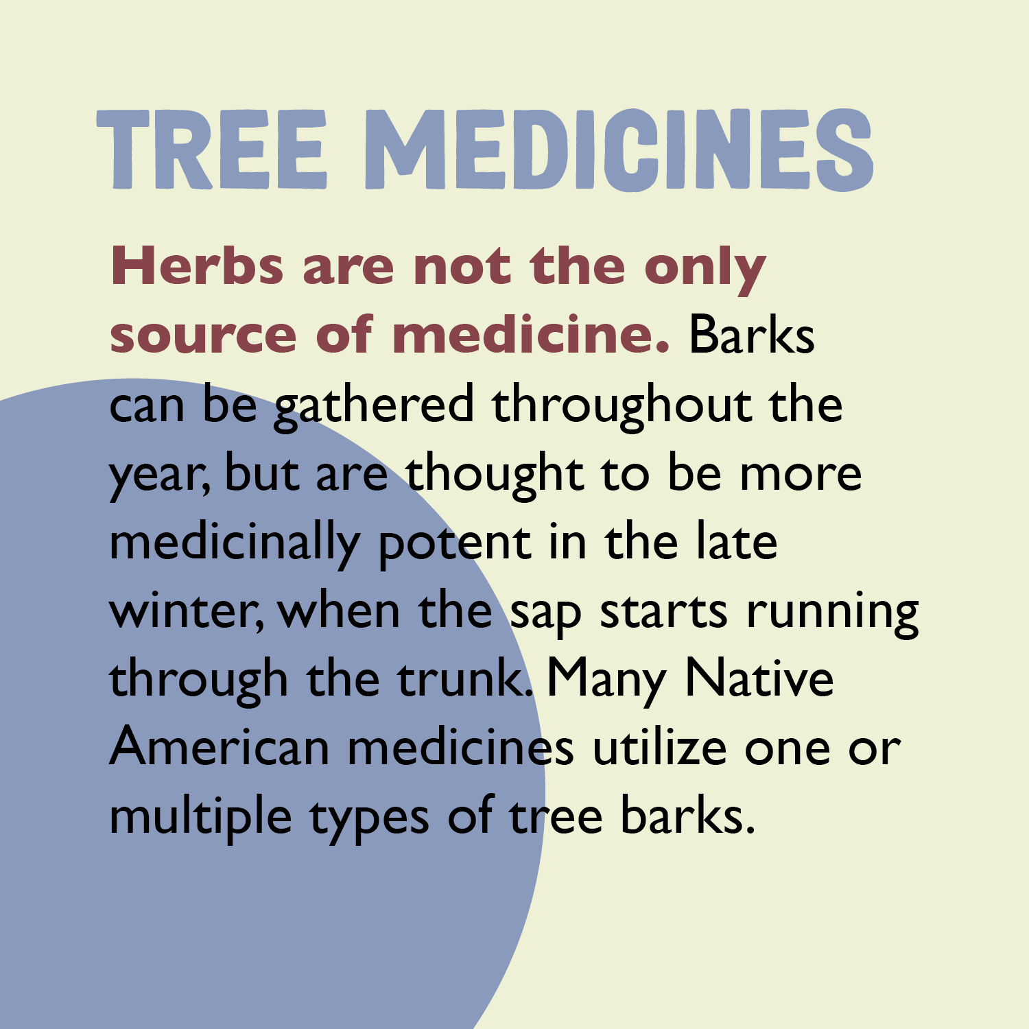 Tree Medicine PNG.png