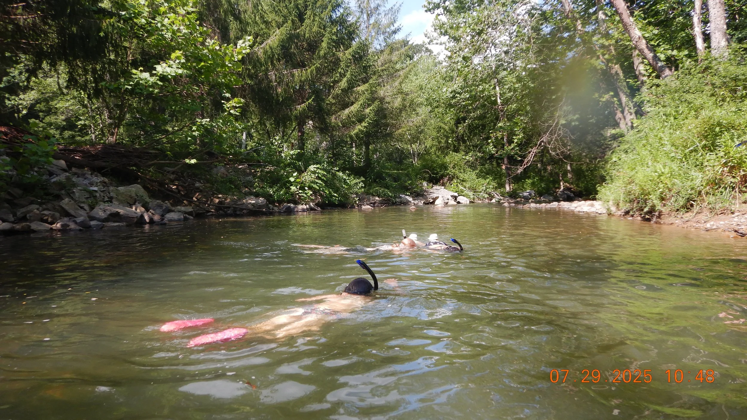 Great Story on AFNHA Snorkeling