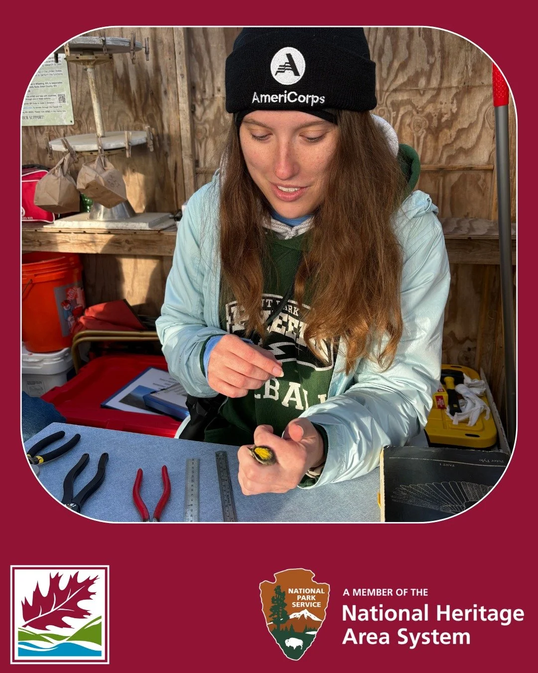AmeriCorps member Haley, serving with the Canaan Valley National Wildlife Refuge,  shared this photo from her recent experience bird banding in Dolly Sods. We are so grateful to have her on our AFNHA AmeriCorps team!
Interested in serving with Ameri