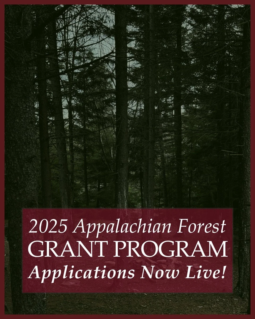 🌲 The 2025 Appalachian Forest Grant Program is Now Open! 🌲
Applications are now being accepted for the 2025 Appalachian Forest National Heritage Area Grant Program!
Apply for up to $15,000 to support projects that preserve forest heritage, tell o