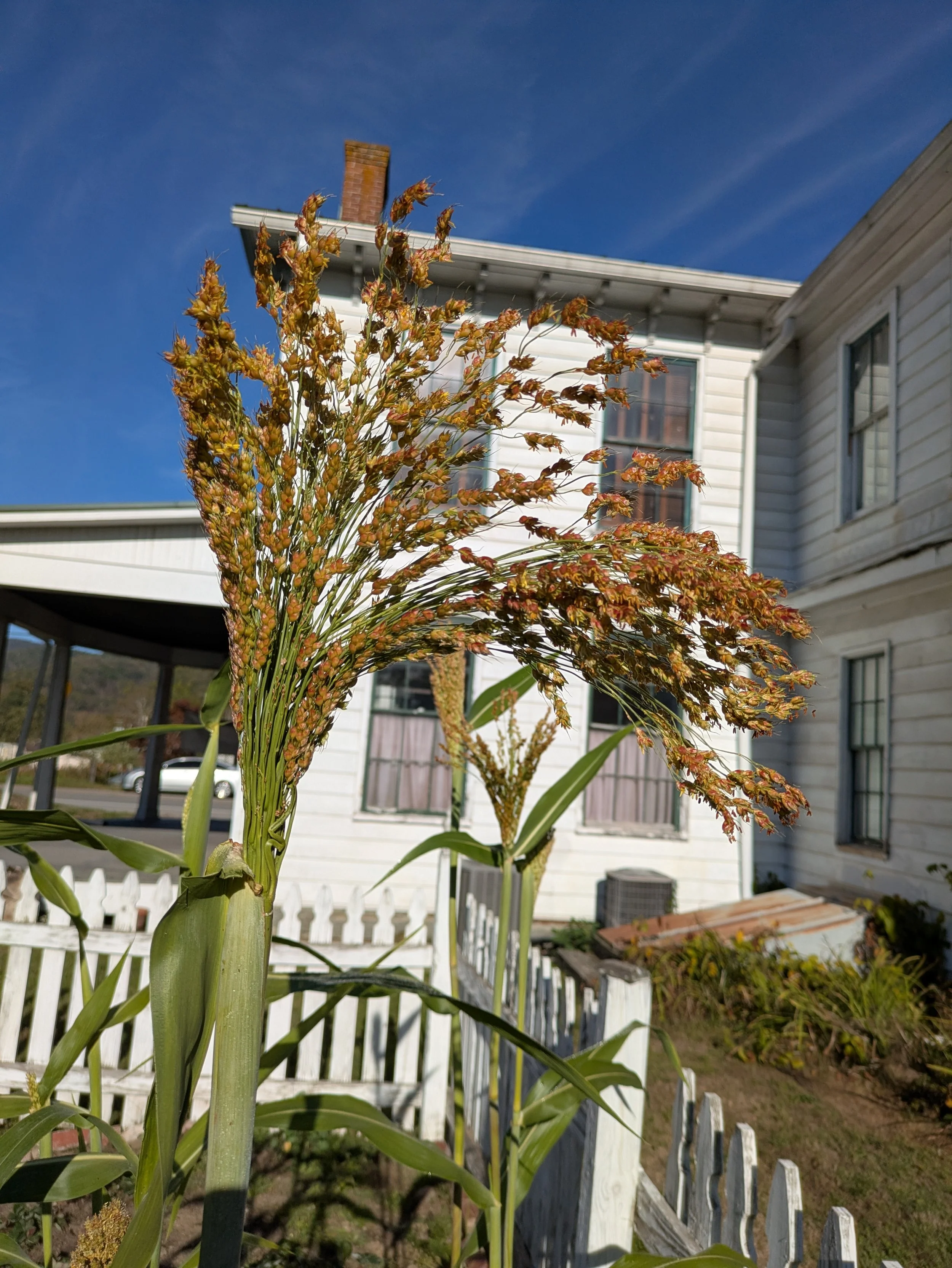 The Beverly Heritage Center Interpretive Garden
