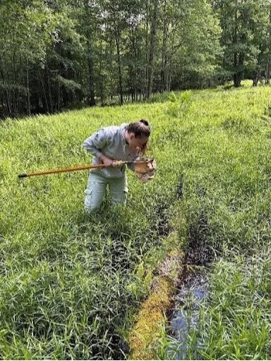 Vernal Pool Monitoring at Canaan Valley National Wildlife Refuge