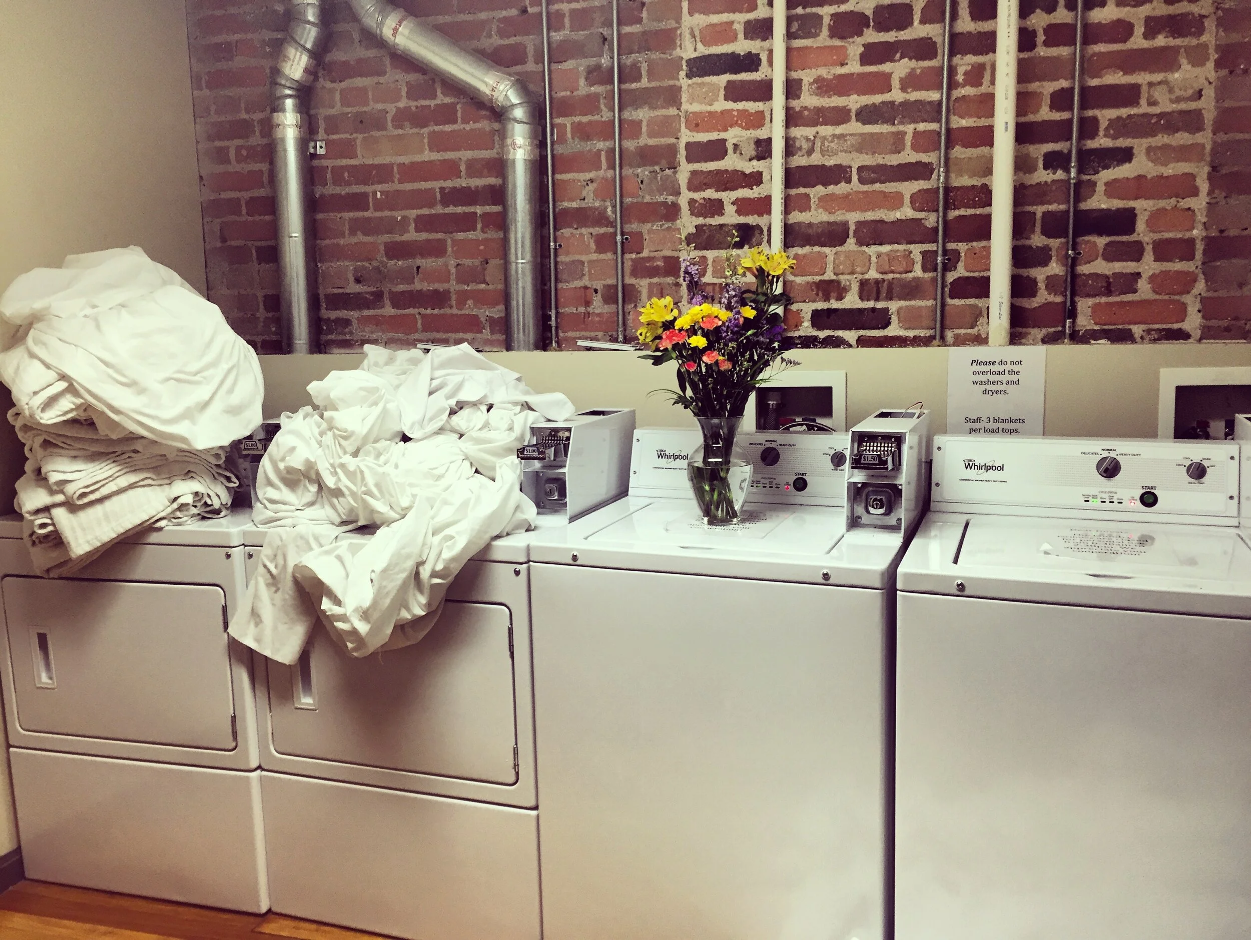 I said, "I just robbed you are you dumb?"