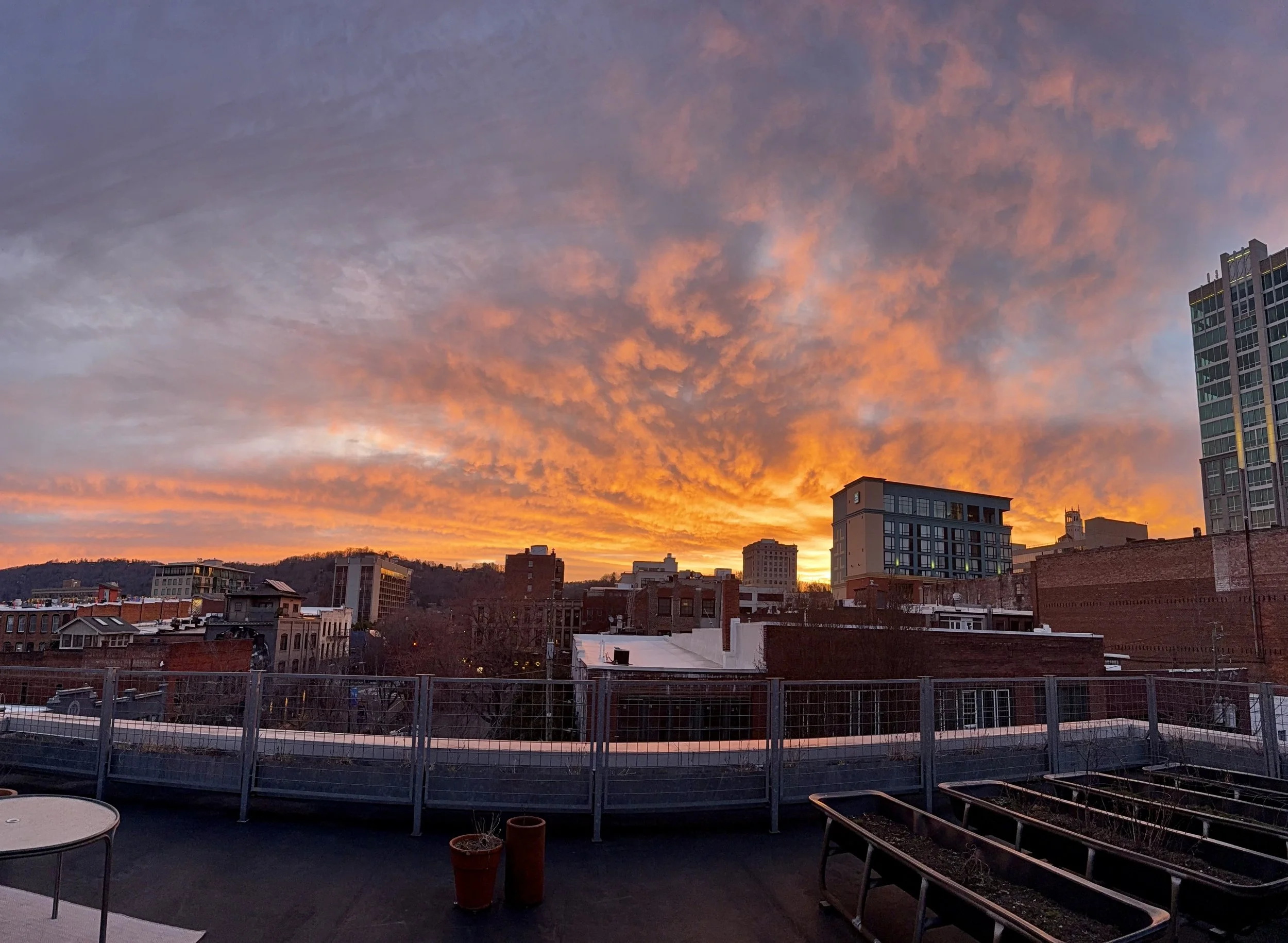 Something in the Orange