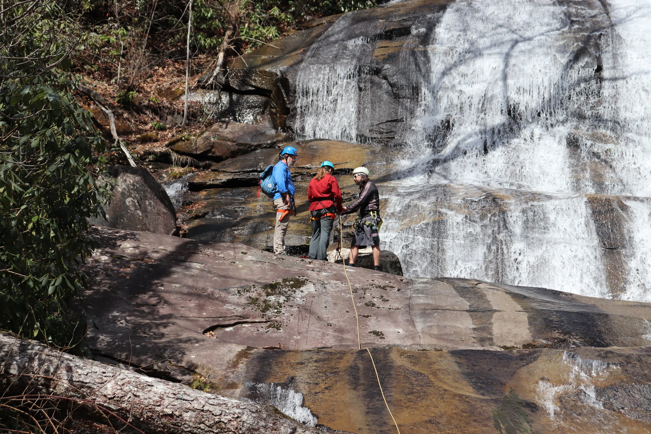 The Wild Side of Pisgah