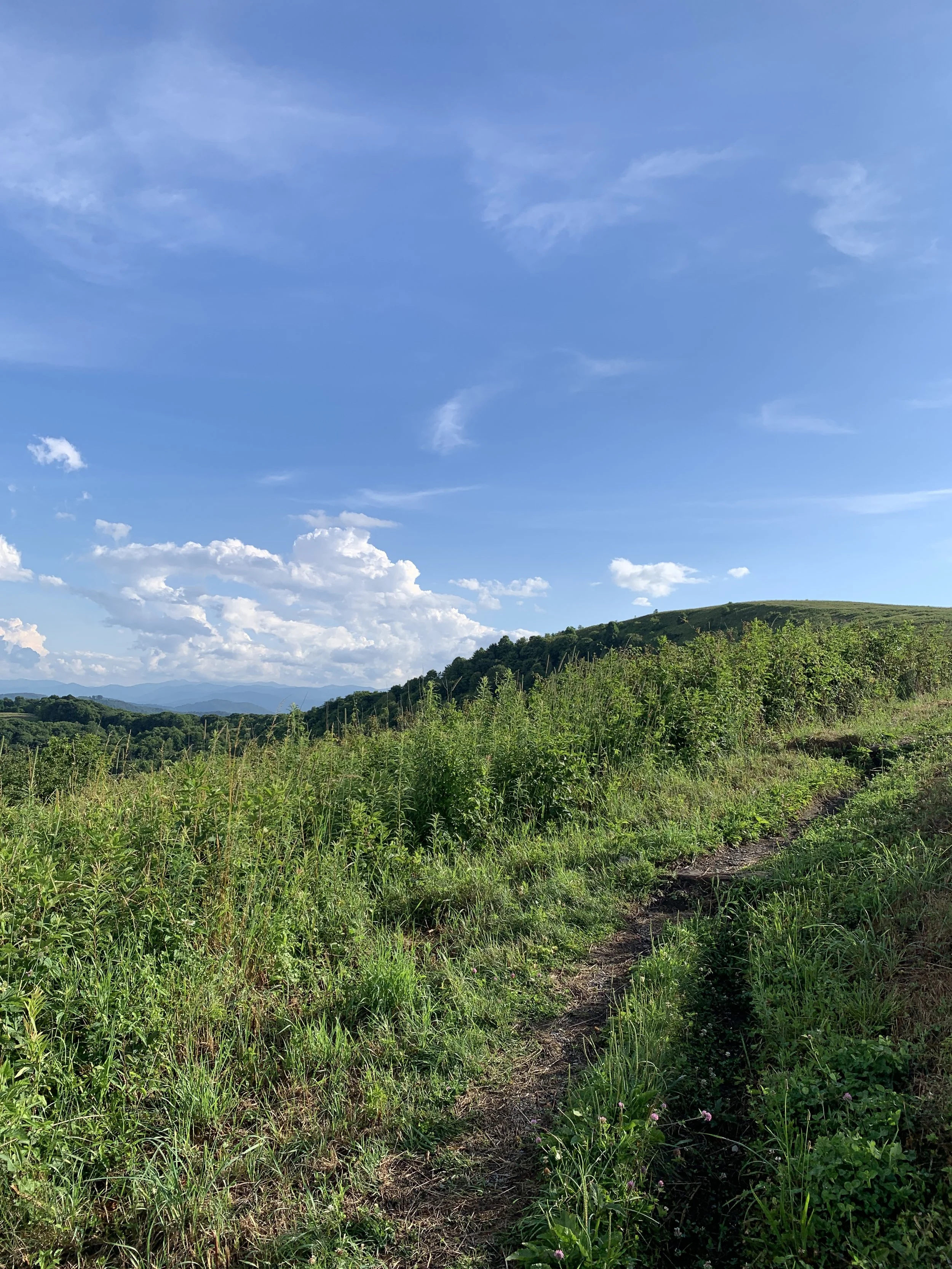 Island Ford Adventures Backpacking and Outtdoor Skill Classes.JPG