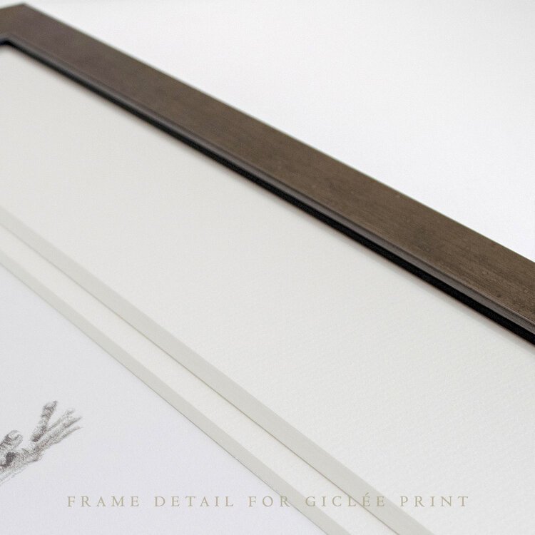 ballet-giclee-limited-edition-print-pewter-frame.jpg
