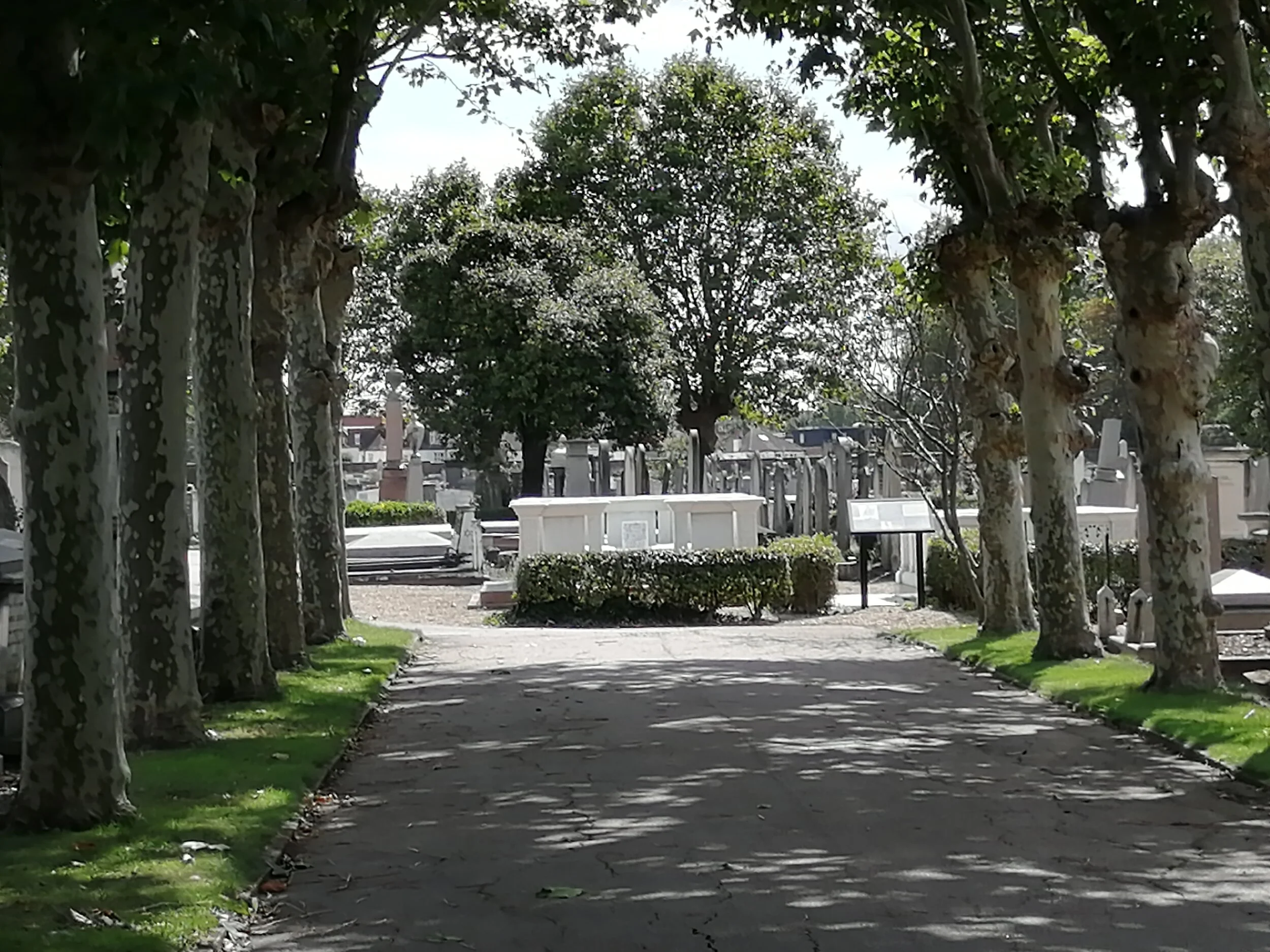 Willesden's visitor experience opens in blaze of publicity