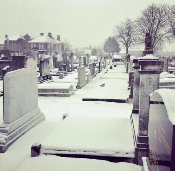 Digital event round-up