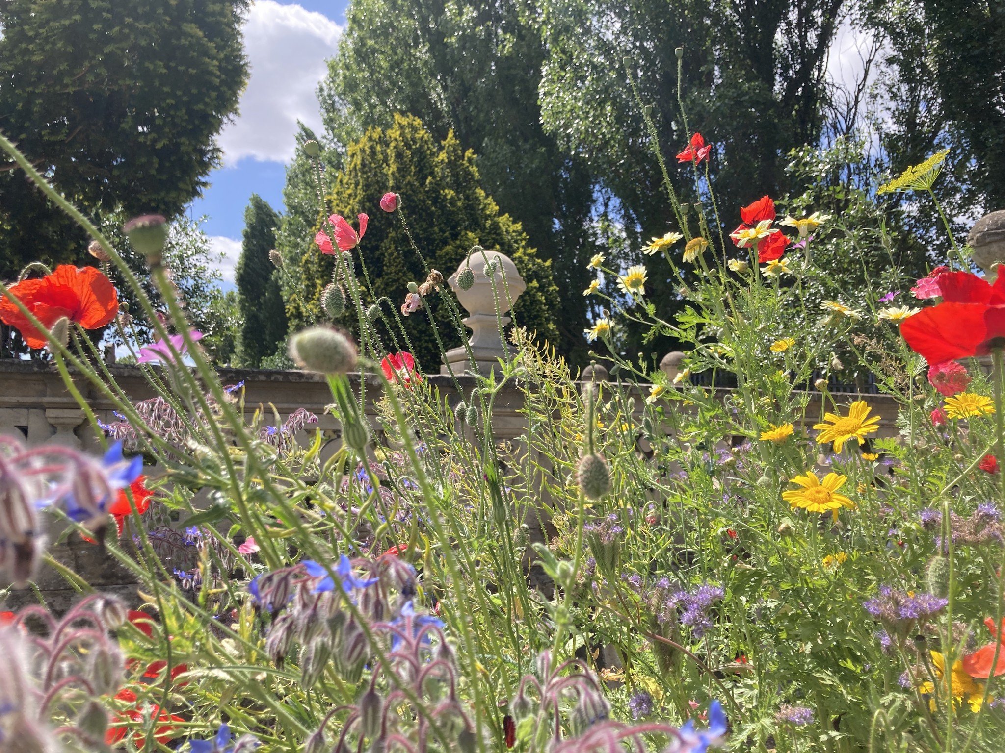 Let’s Plant Together! Half Term Family Session