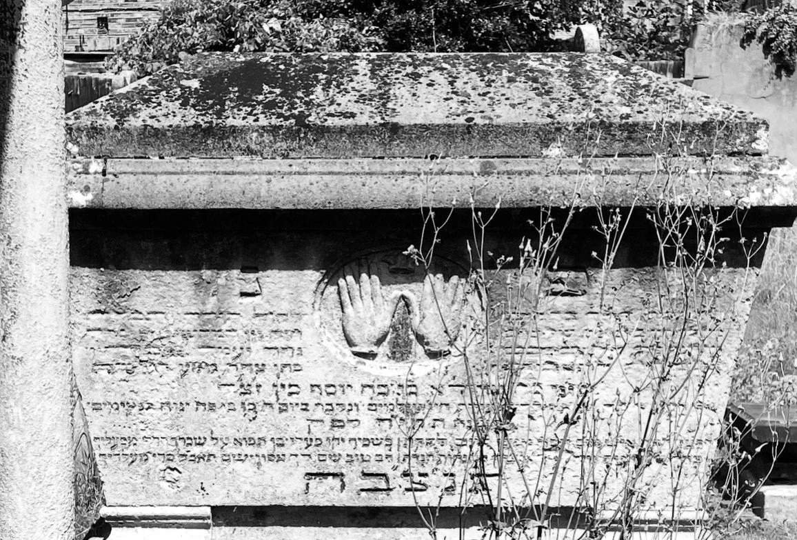 Lauriston Road Cemetery: Open Site, Talk and Walk