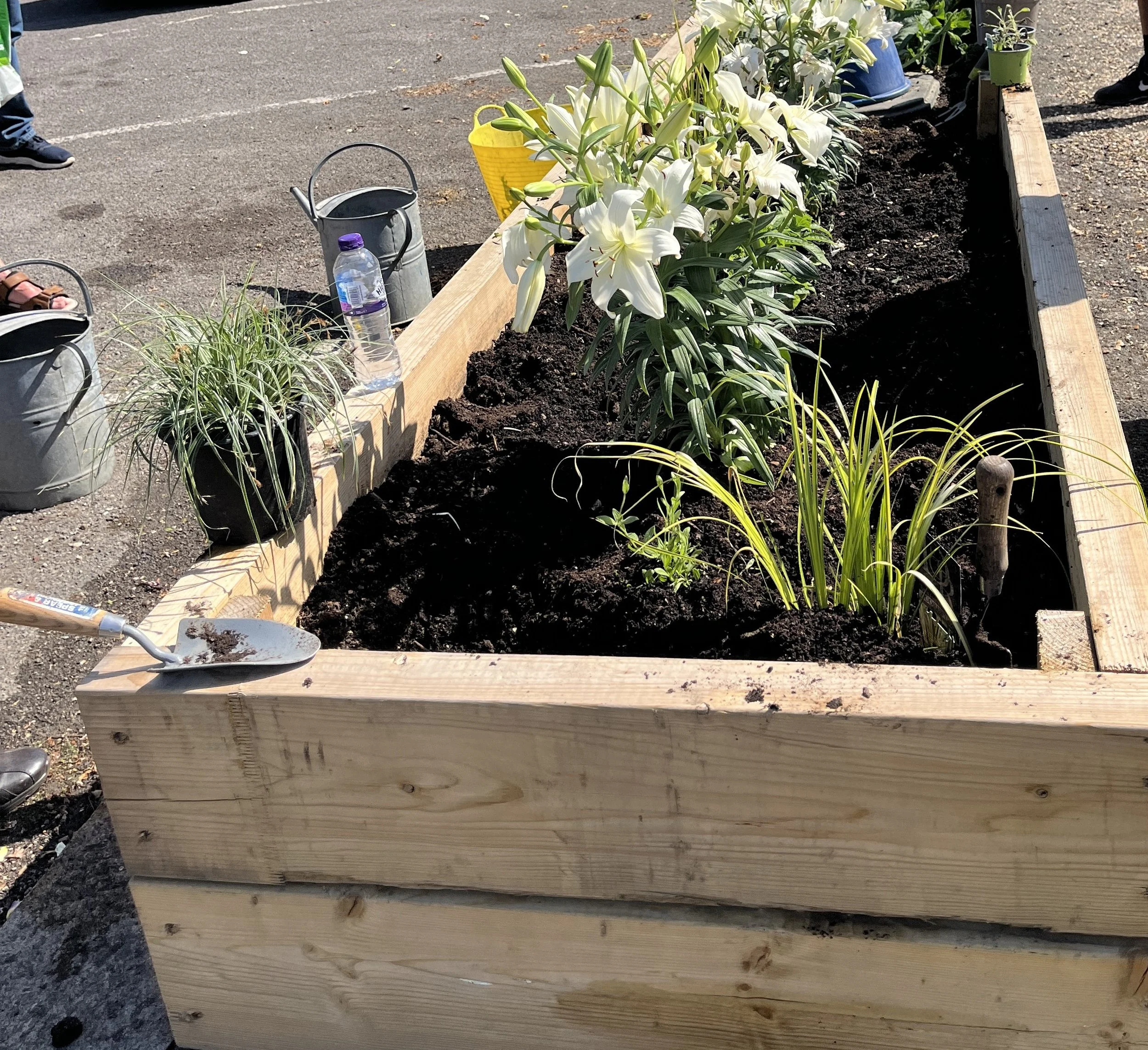 Growing Together: New Accessible Planters Bring Nature and Community to The House of Life