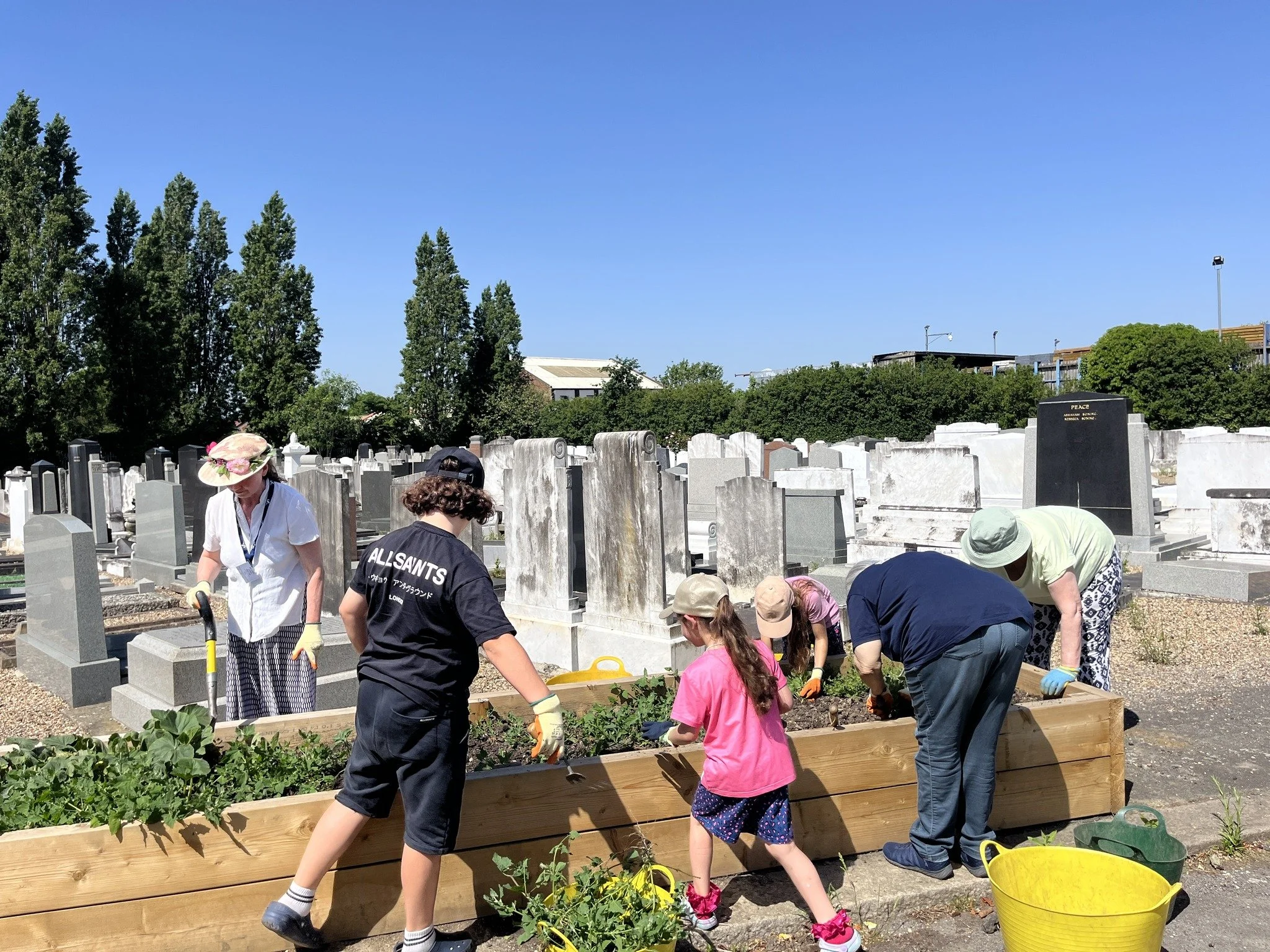 Family planting session, 26 May 2026