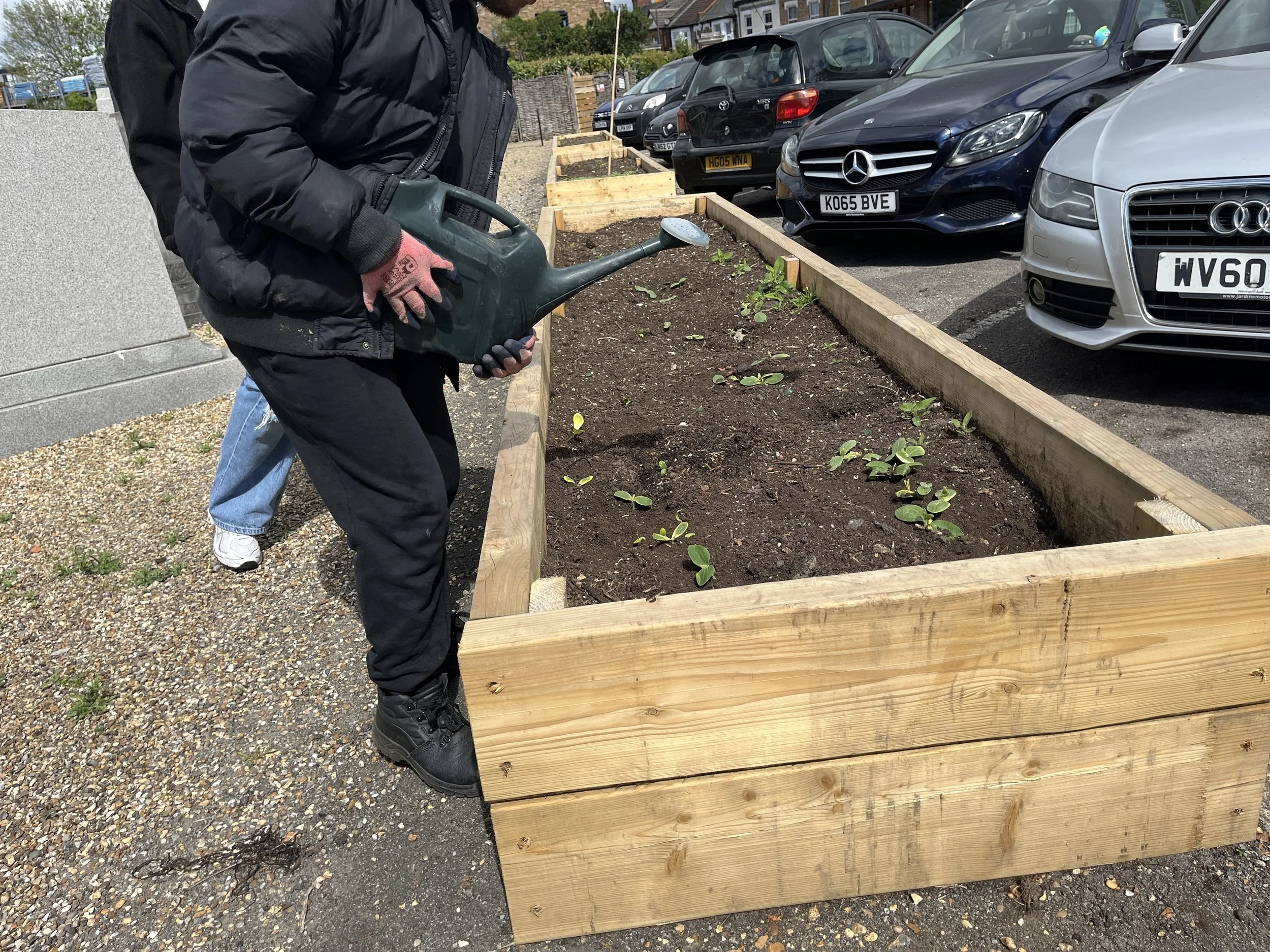Students watering the containers, March 2026