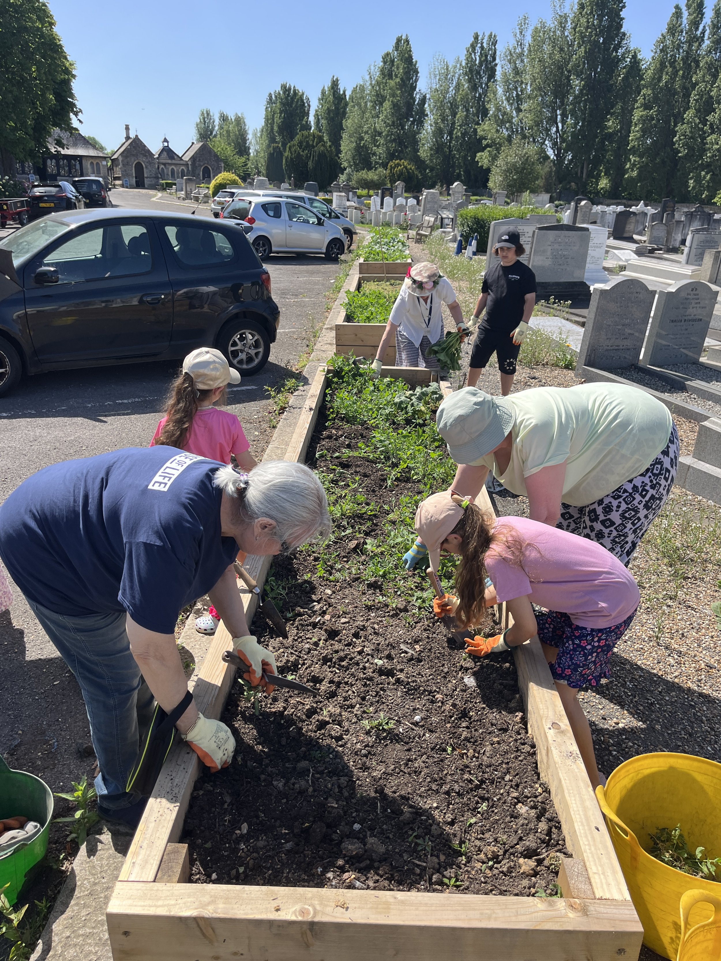 Family planting session, 26 May 2026