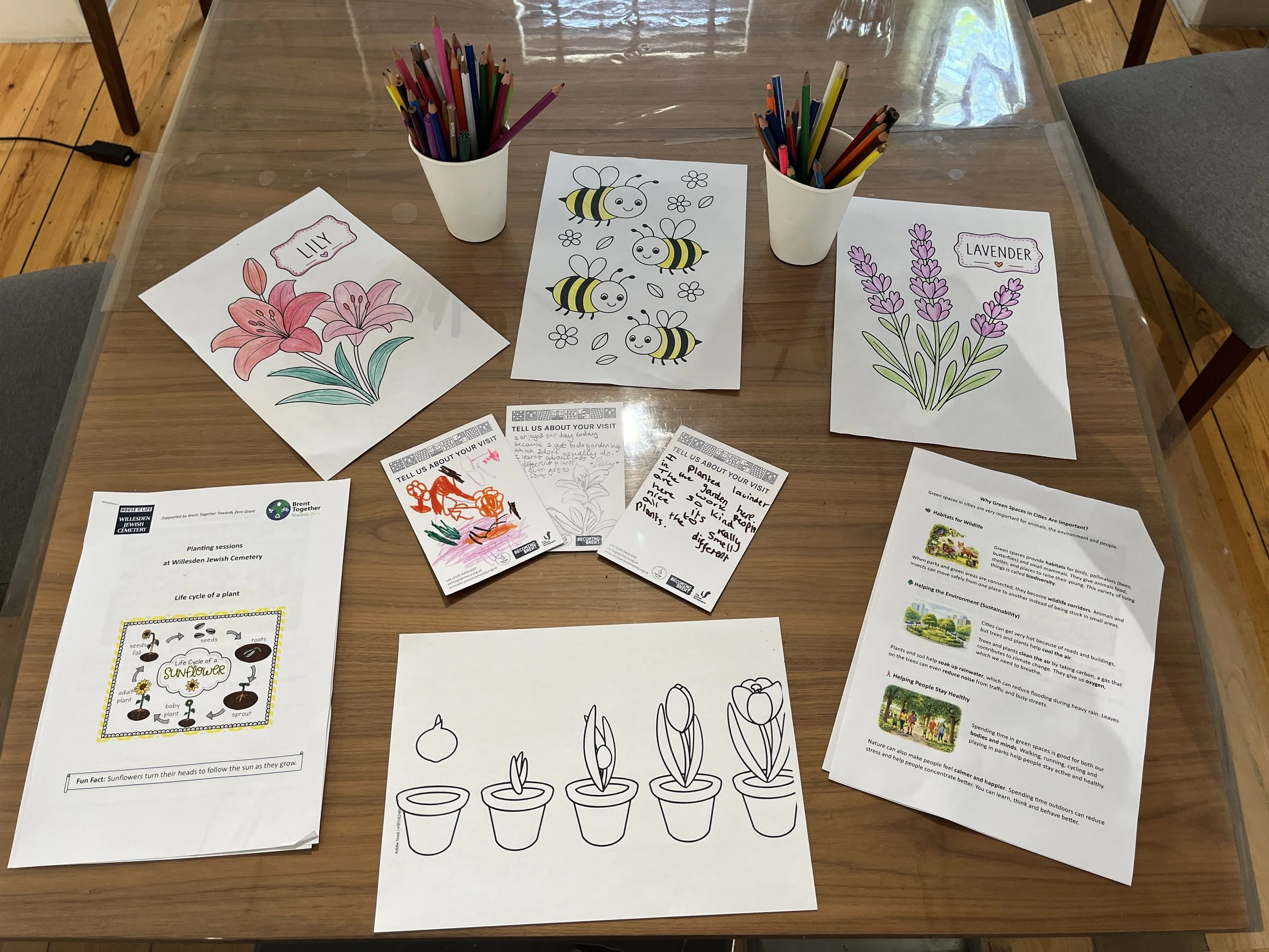 Family learning session, 26 May 2026