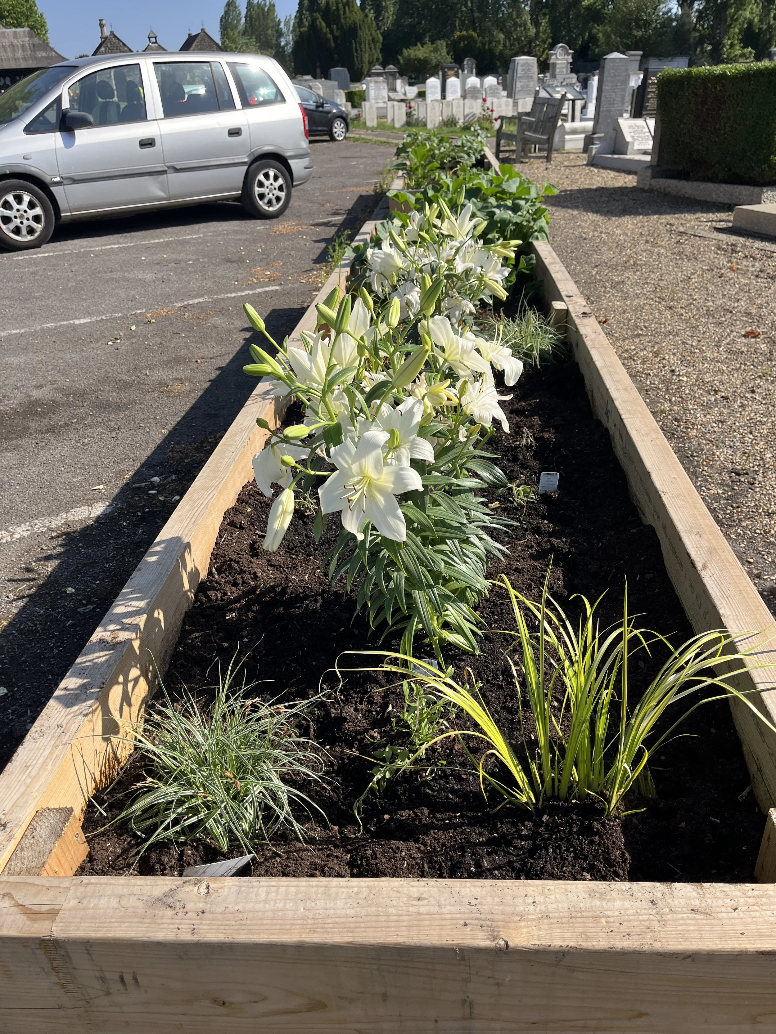 Flower garden created in May 2026