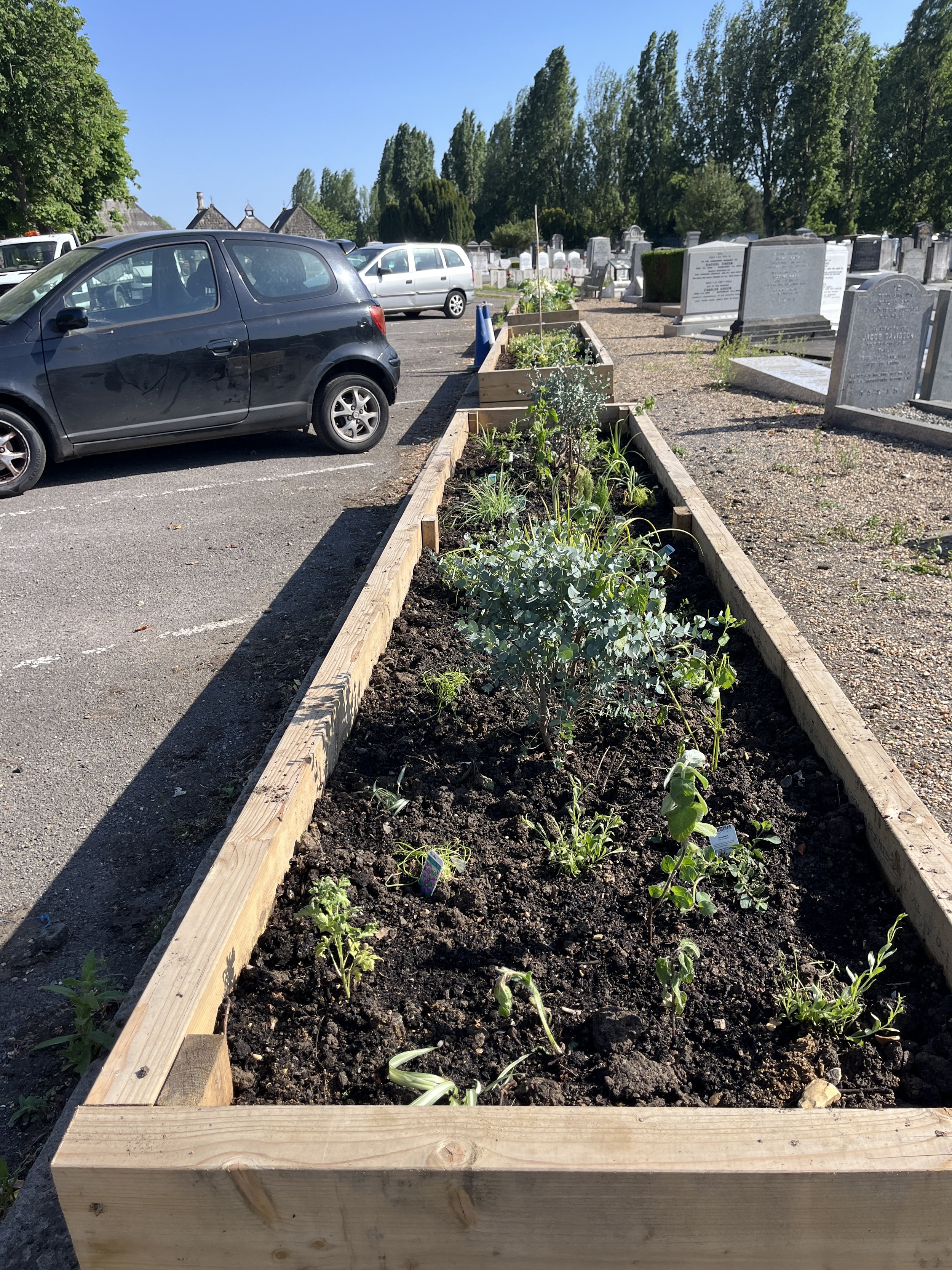 New plants, May 2026
