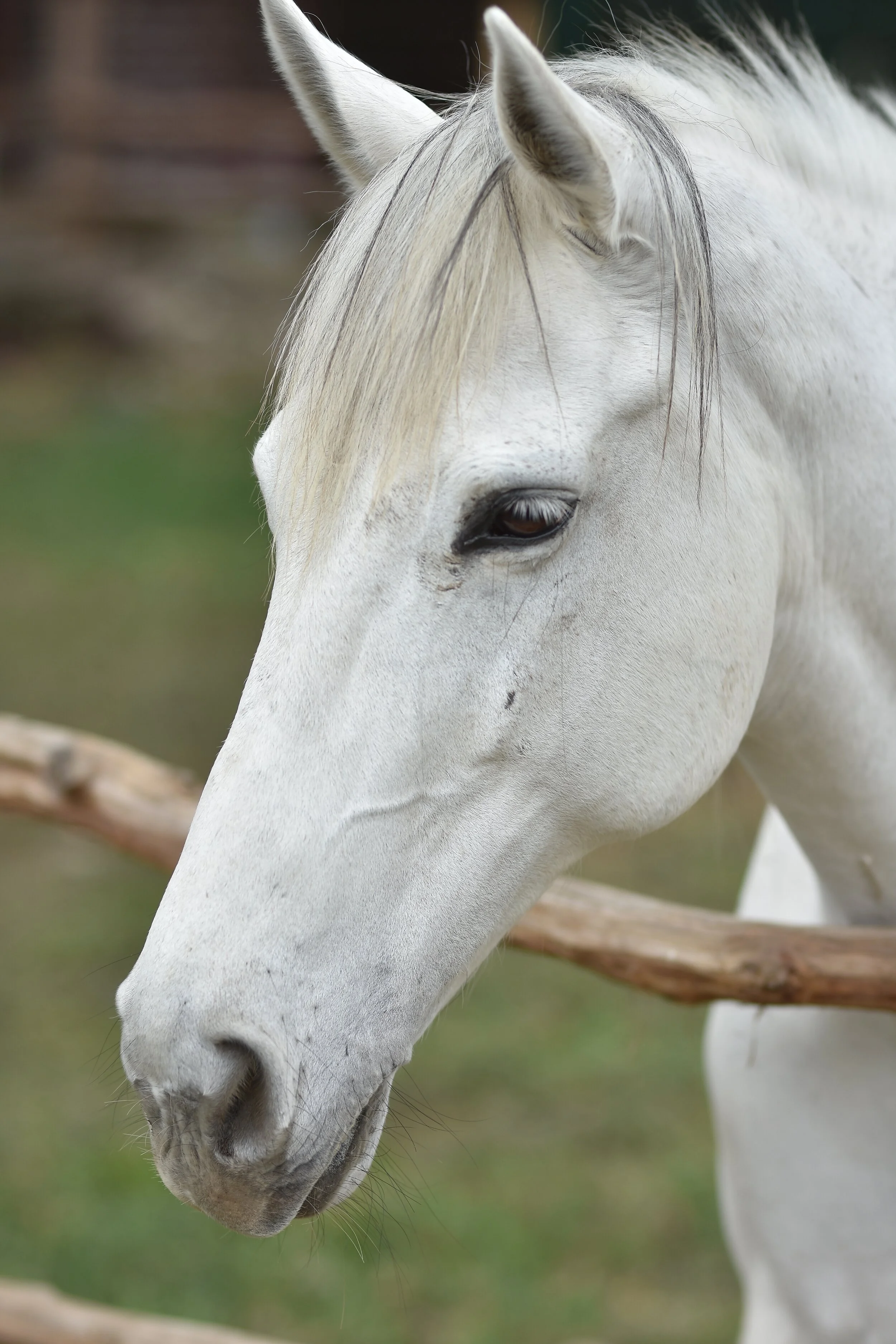 DSC_7828.jpg