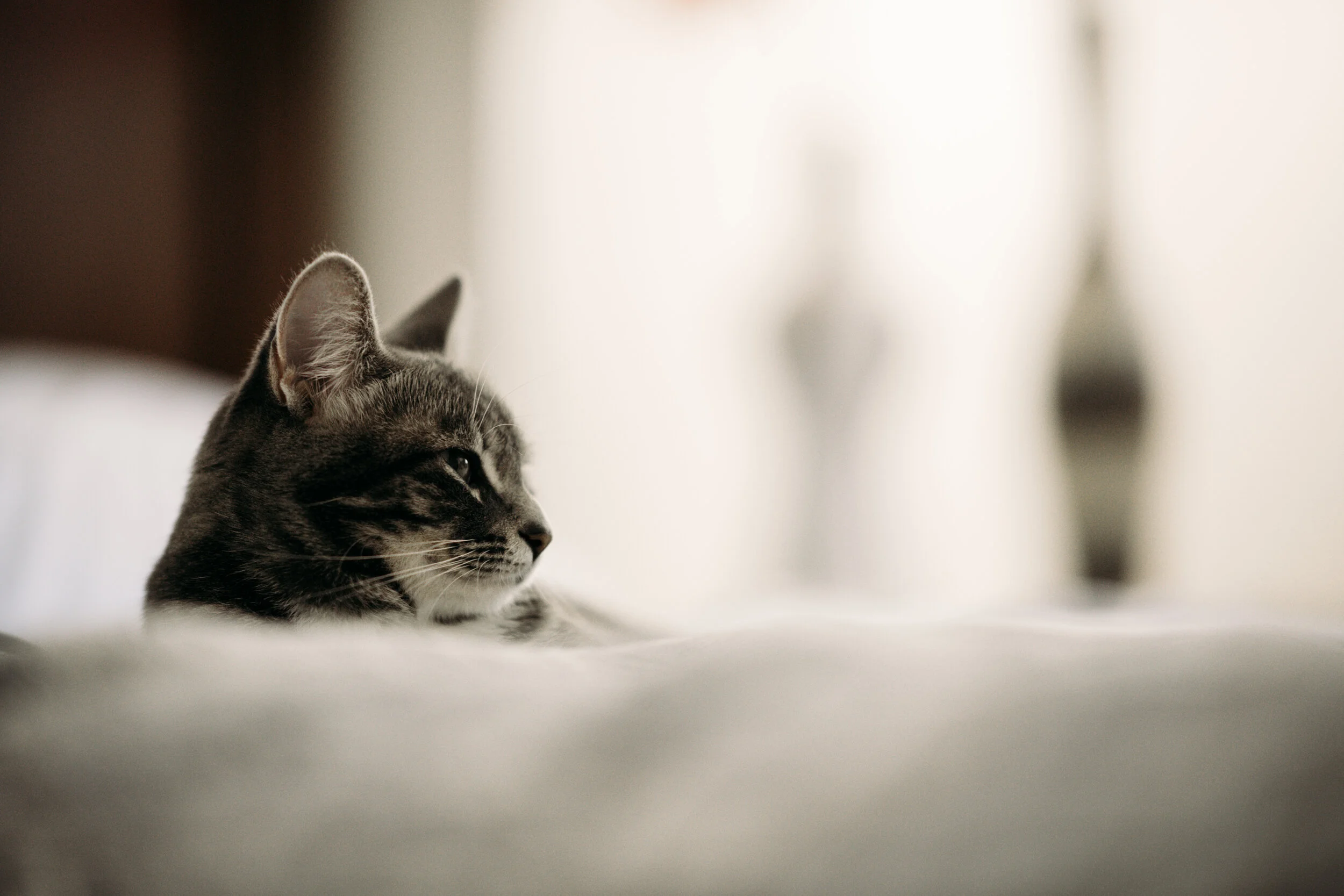 20201001-DSC_1941.jpg