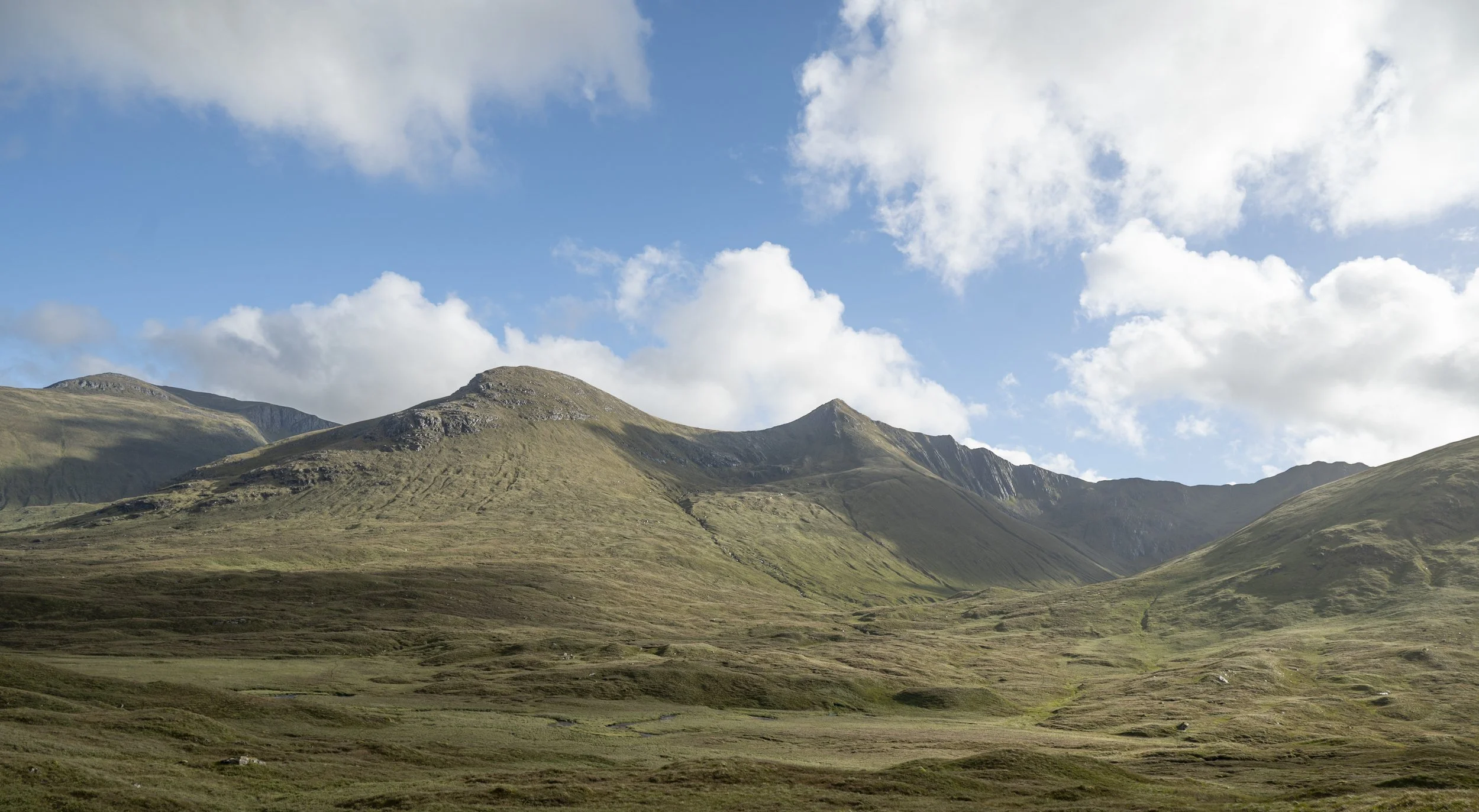 Z62_5829-Edit.jpg