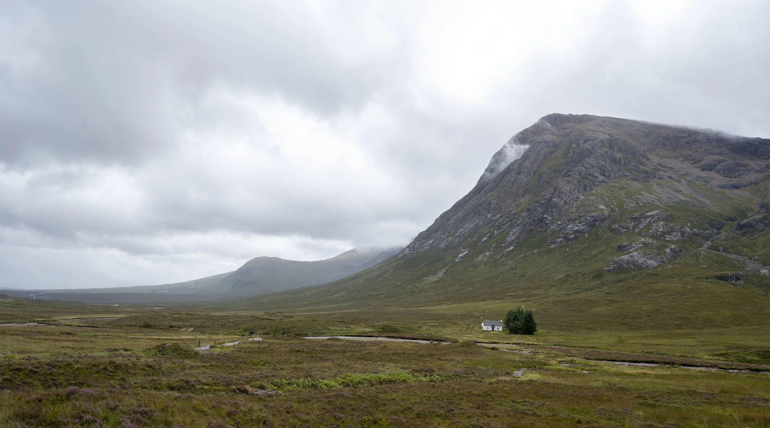 Z62_5600-Edit.jpg