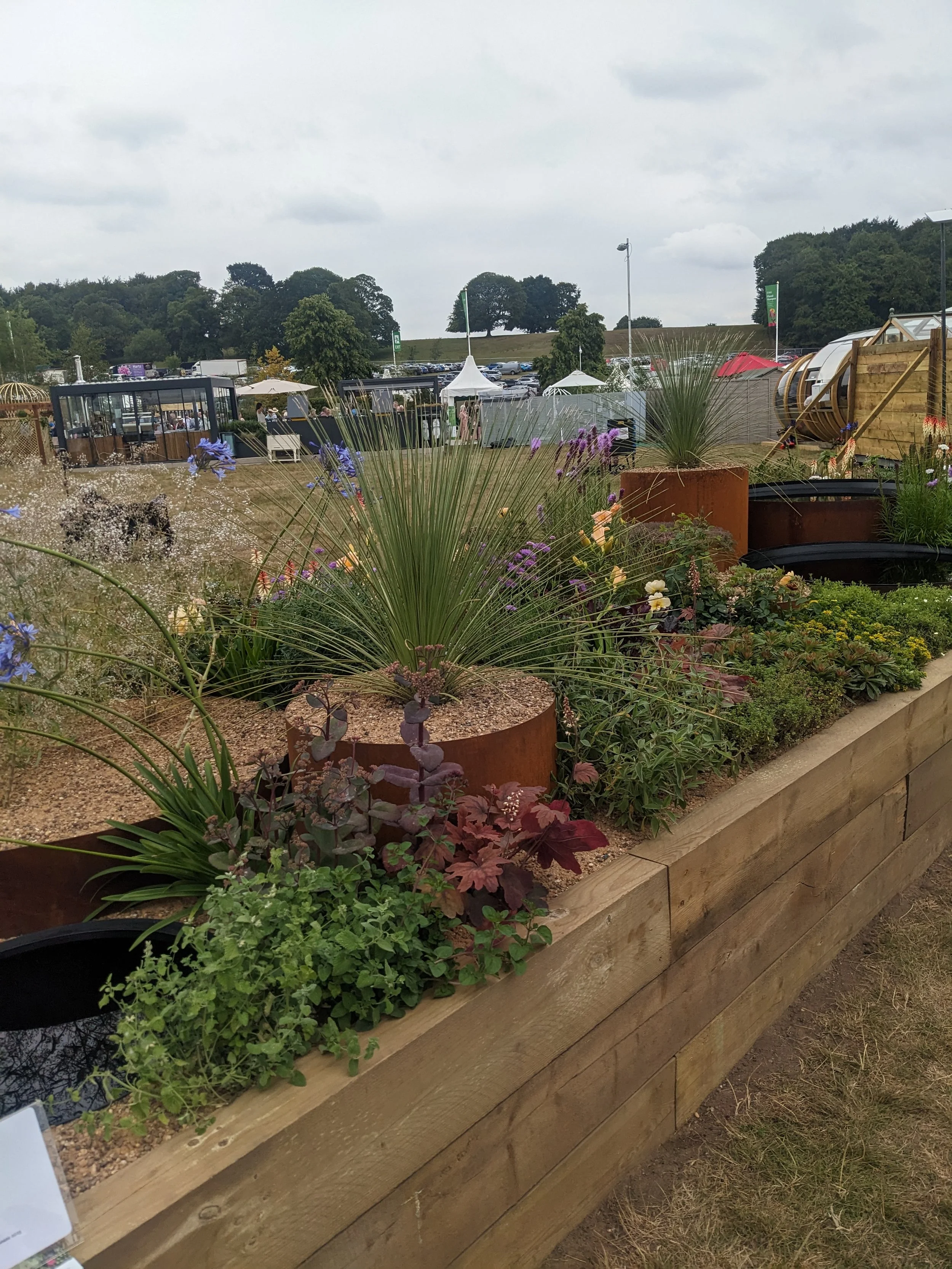 Outdoor garden display with various potted plants and flowers in a wooden planter box, with tents and trees in the background on a cloudy day.