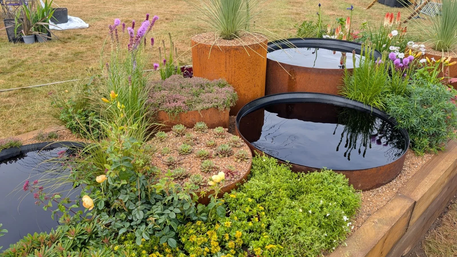 Garden with large, rust-colored, circular containers filled with water, surrounded by lush green plants, succulents, and flowering plants on a wooden raised bed, with dry grass in the background.