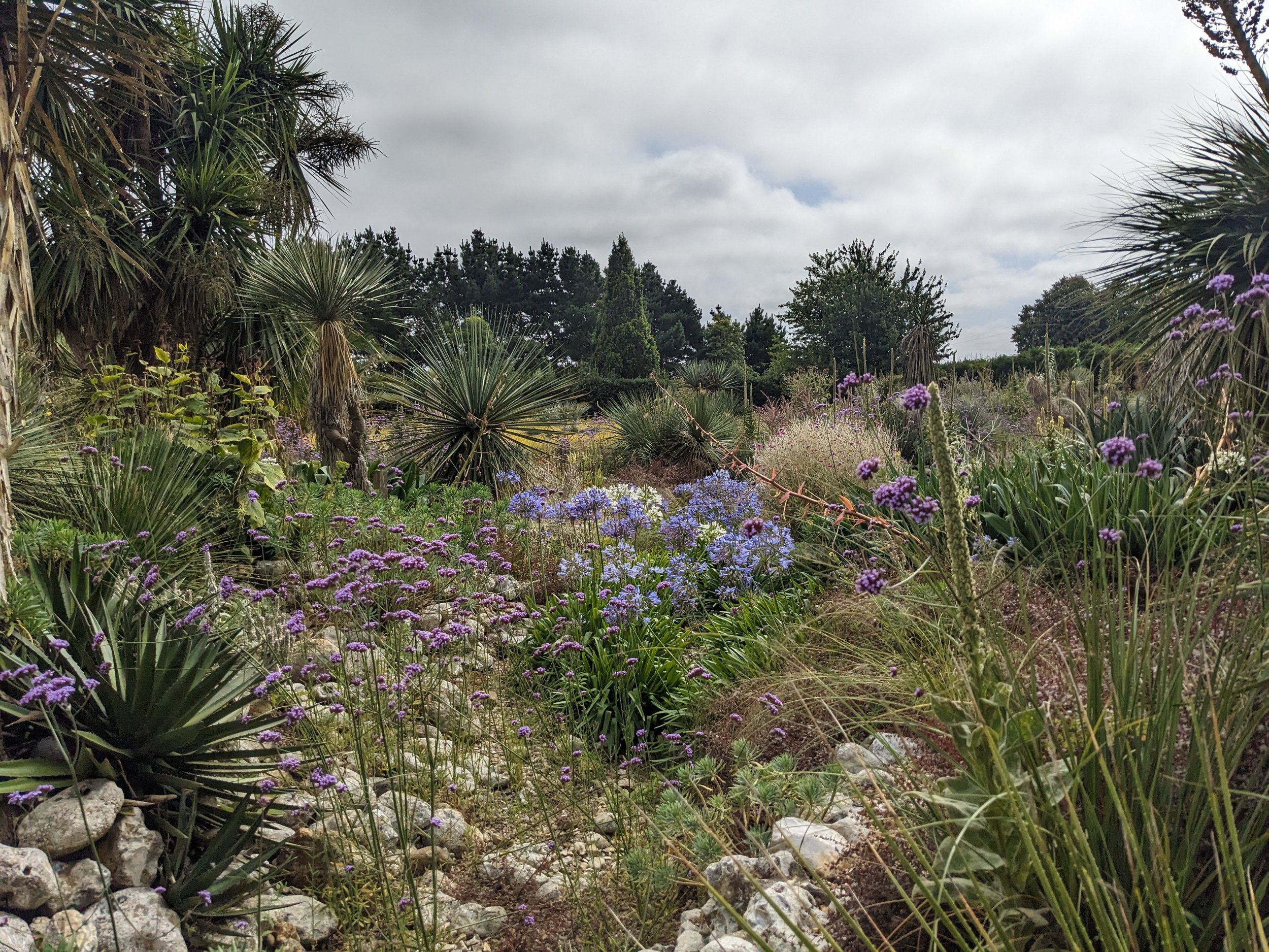 Mediterranean Planting Style