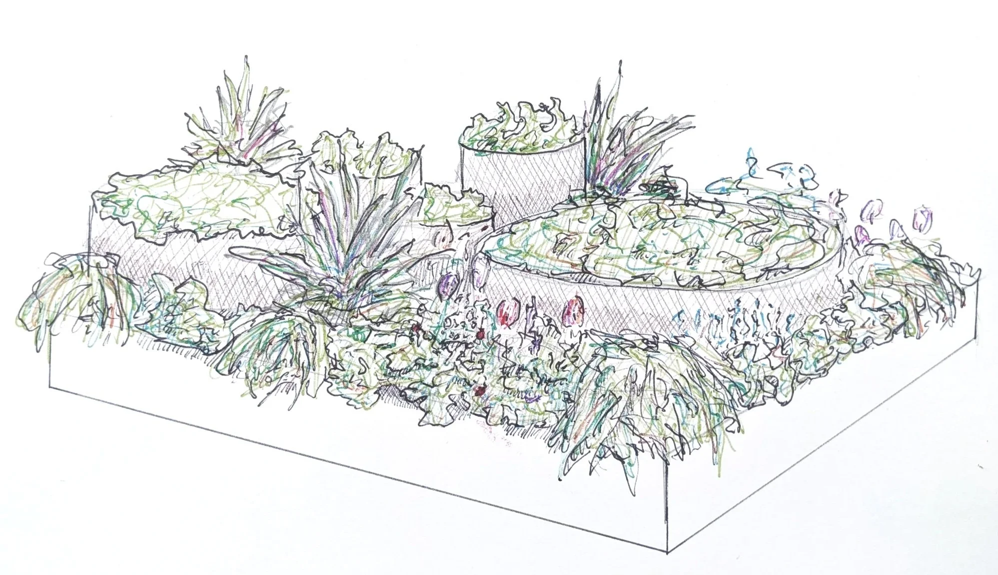 Harrogate Flower Show Spring 2026