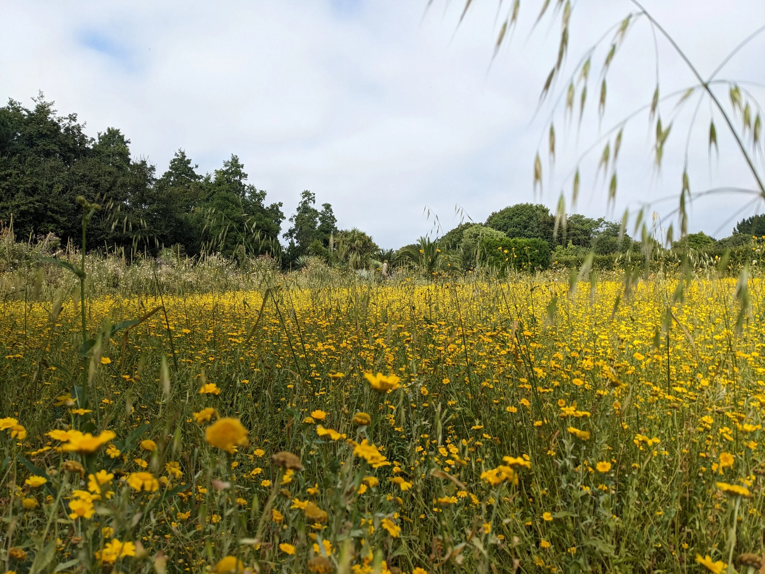 Prairie Planting Style
