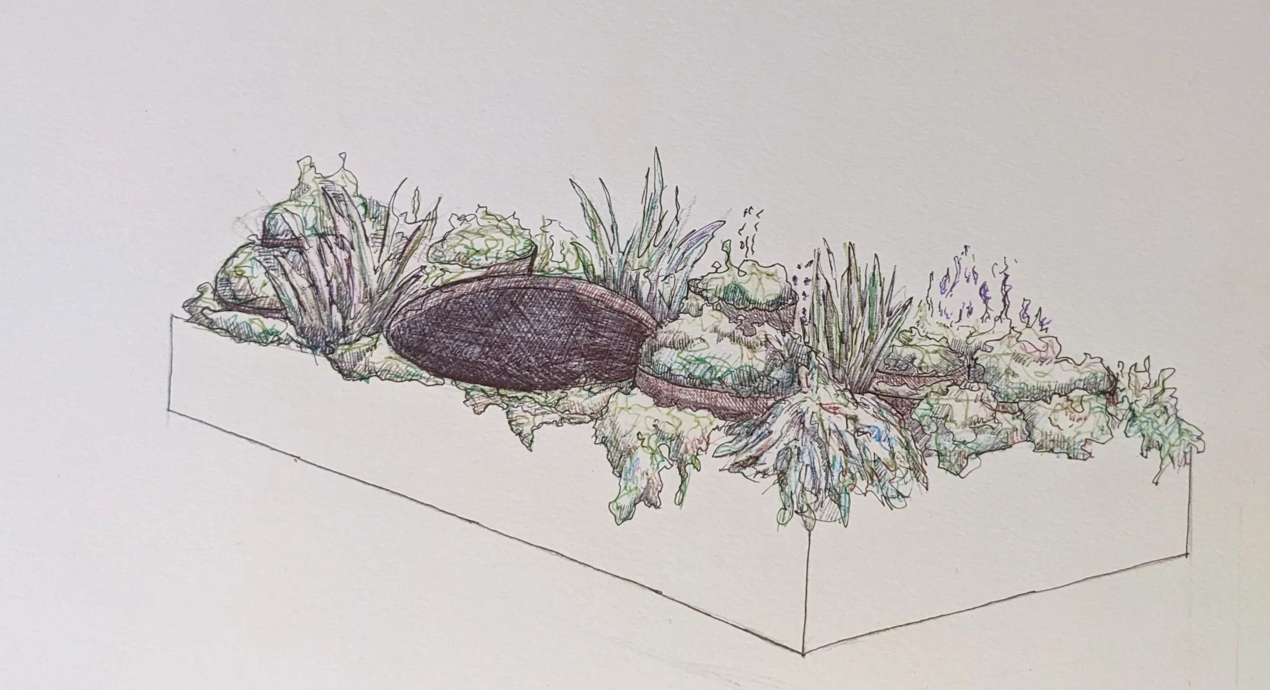 Harrogate Flower Show Spring 2026
