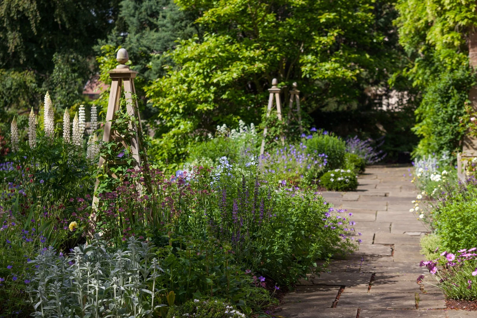 A garden with a stone pathway, filled with colorful flowers and green foliage, and wooden plant supports.