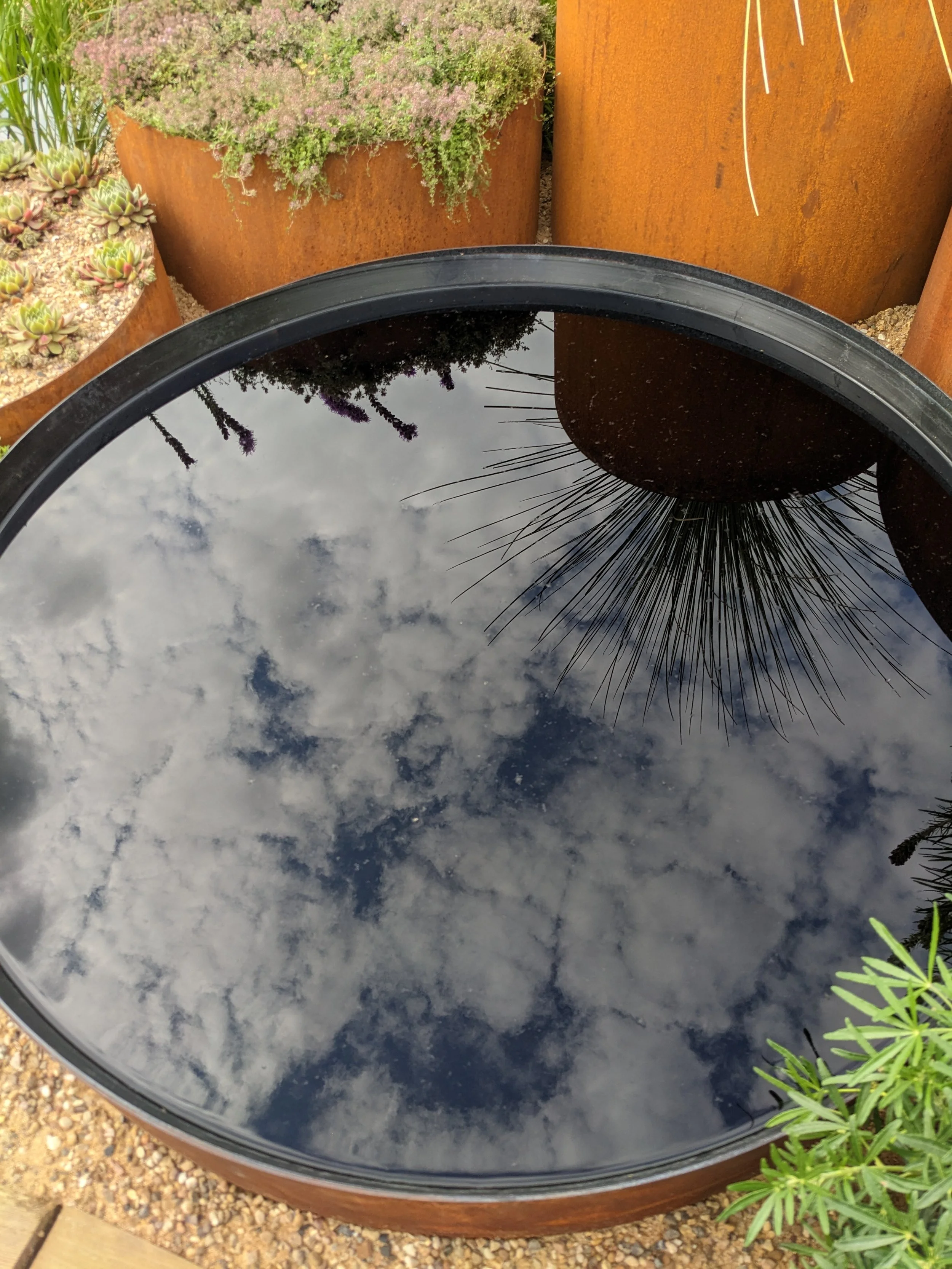 A reflective black circular surface, capturing the sky with scattered clouds and plant shadows, surrounded by potted succulent and desert plants.