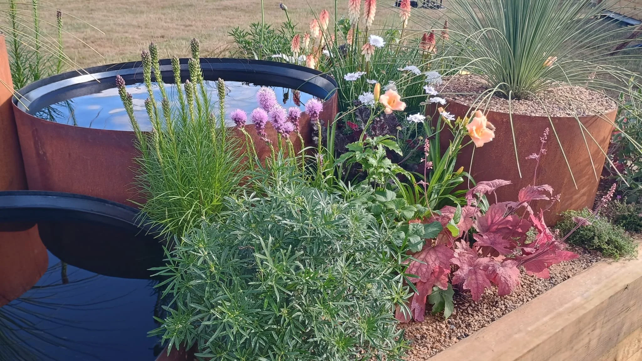 Garden with various potted plants, including grass, flowers, and a water feature in a large rust-colored container.