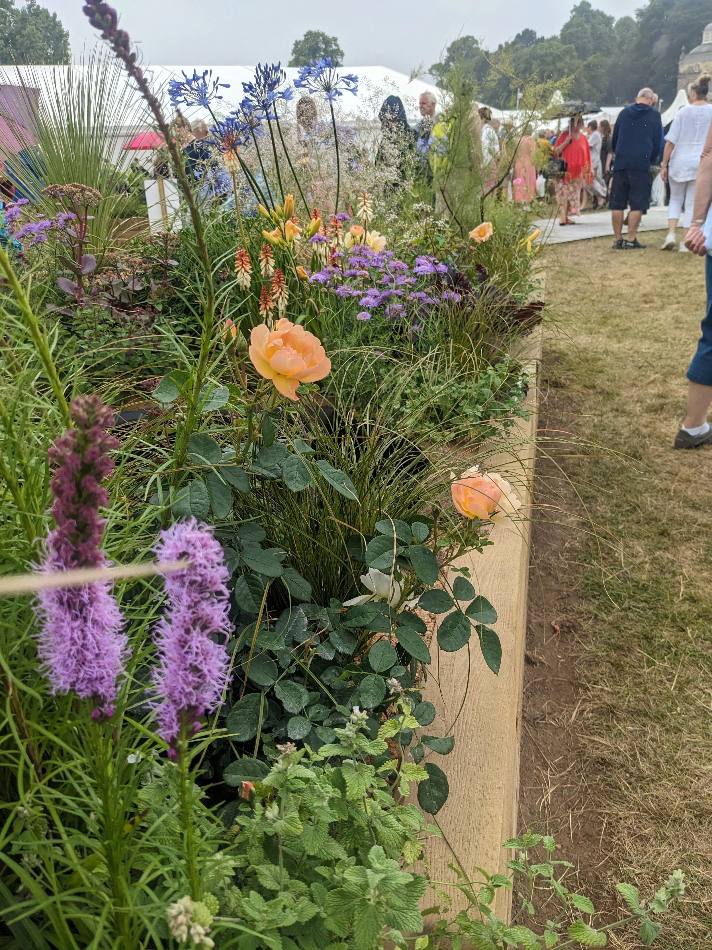 A row of colorful flowers, including purple, pink, orange, and yellow blooms, in a garden bed at an outdoor event with people walking and tents in the background.