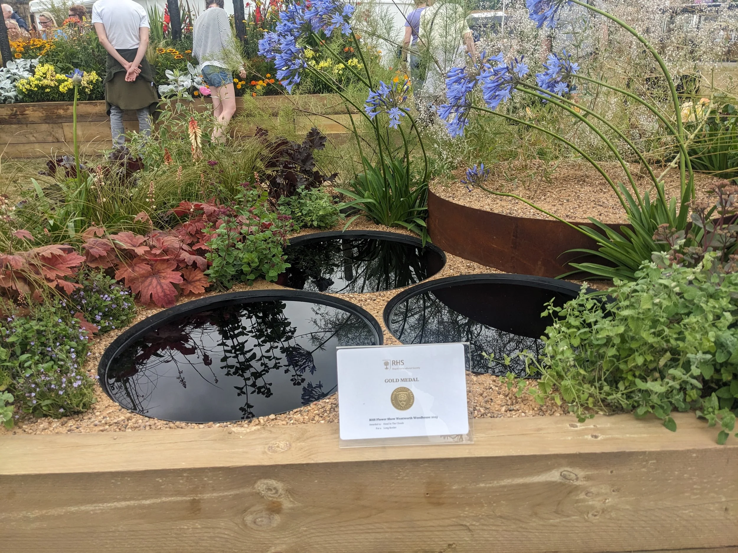 A garden display featuring three oval black reflective water features surrounded by various plants, including purple flowers and red patterned leaves, with a sign indicating a gold medal award and people in the background.