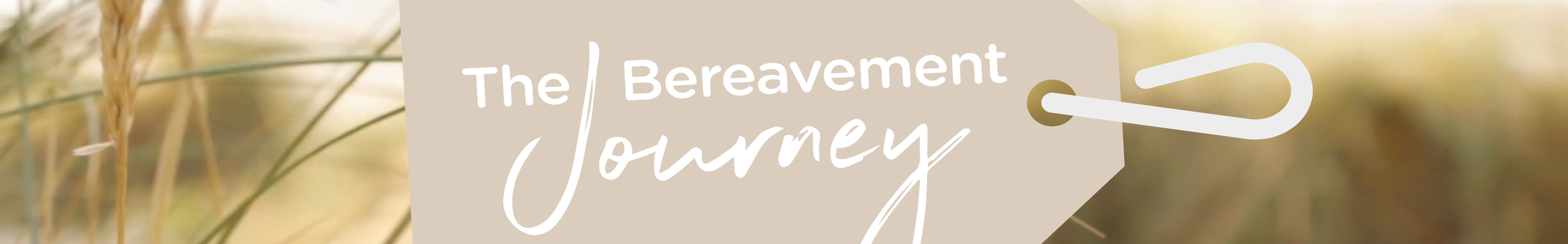 WEBPAGE BANNERS - TBJ.png