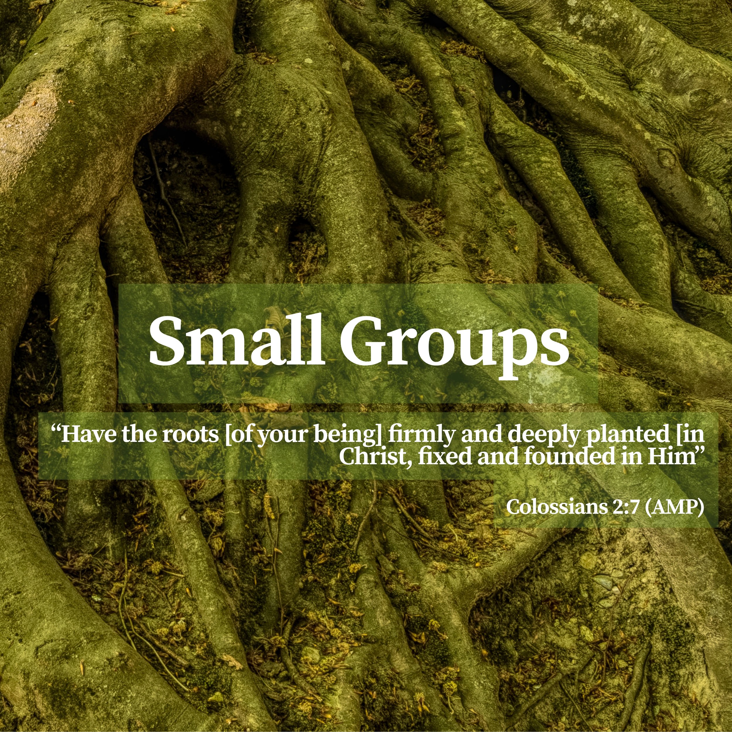 Roots (Instagram Post)-3.jpg