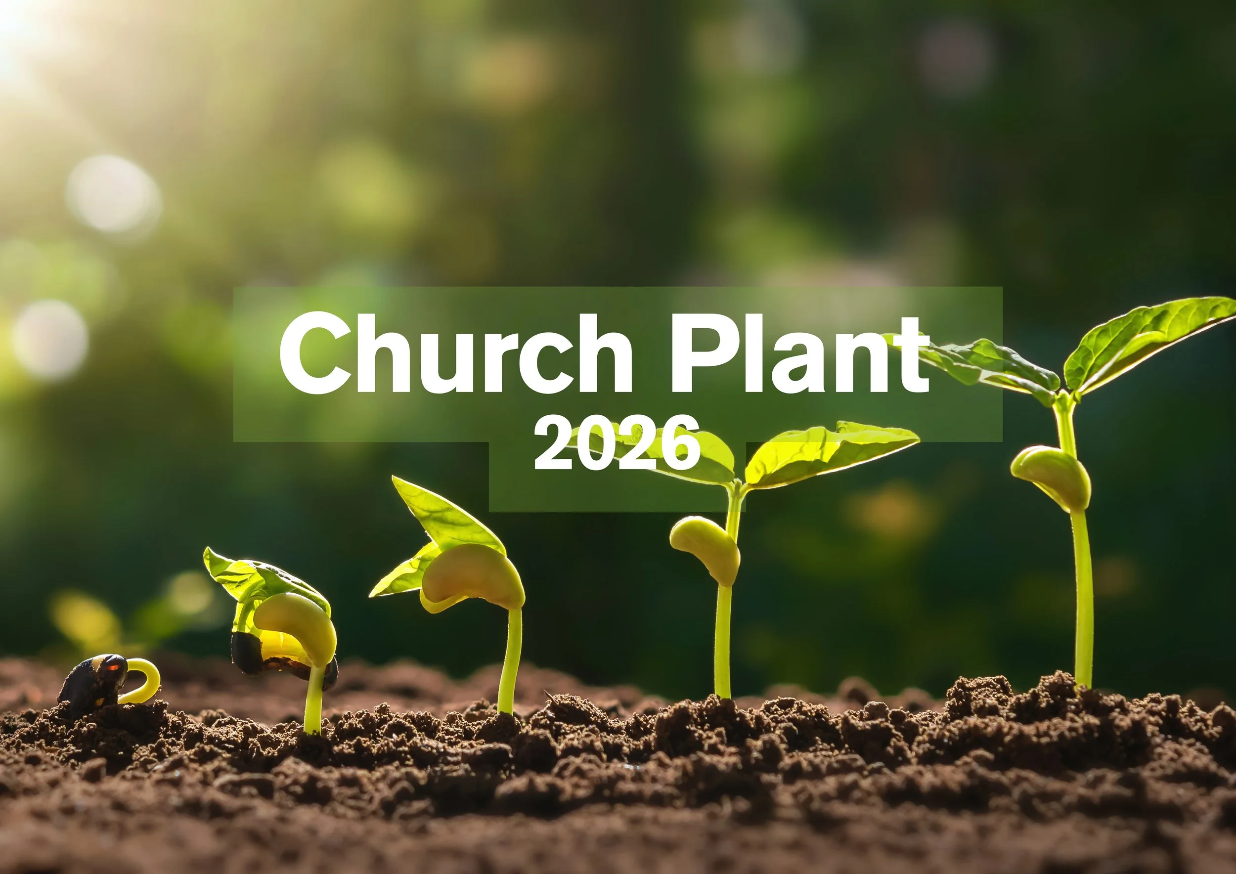 Roots (Rirekisho (A3))-2.jpg